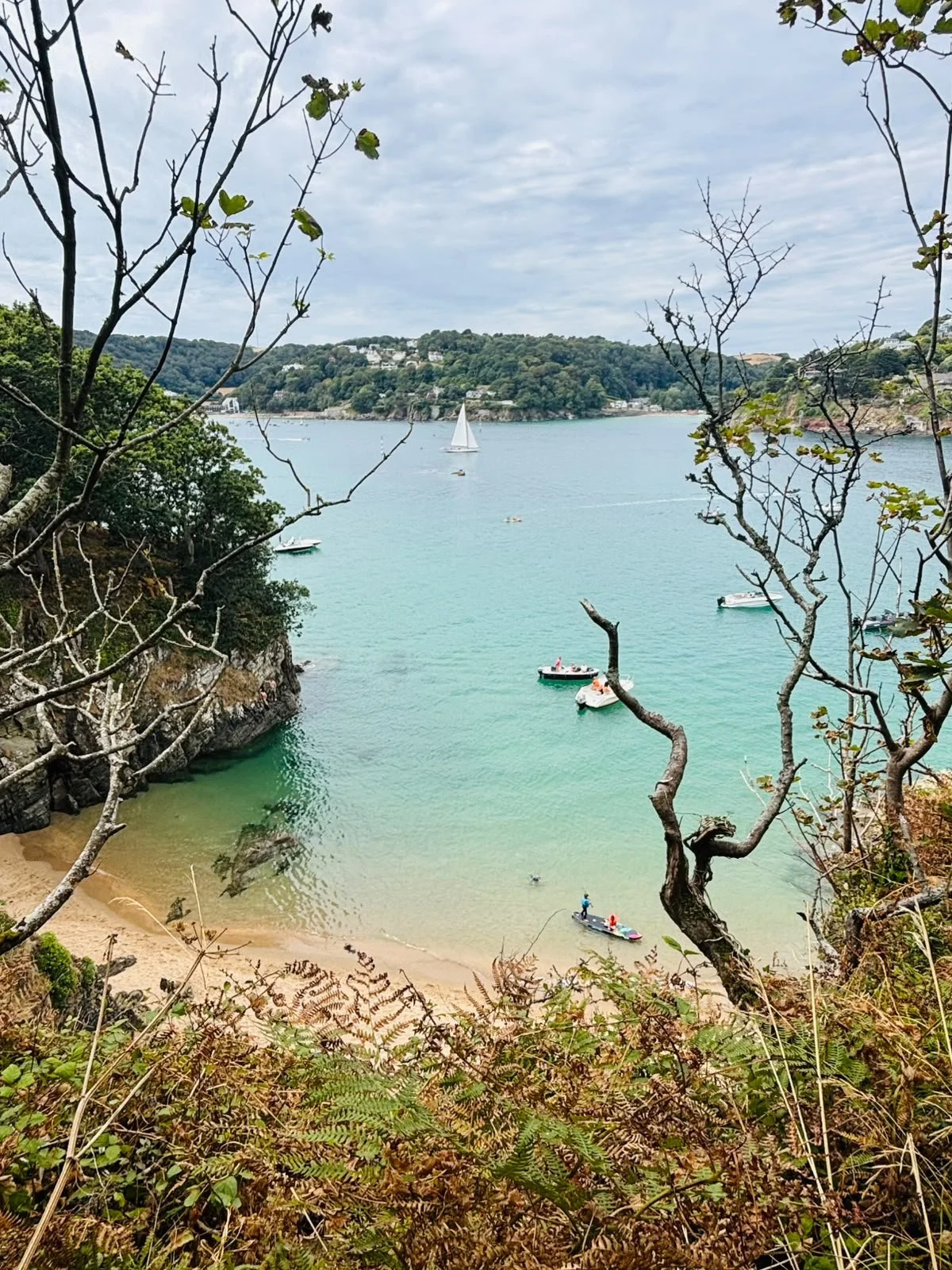 A scenic view of a bay with turquoise water, boats floating, and a sailboat in the distance, framed by trees and foliage on a cloudy day.