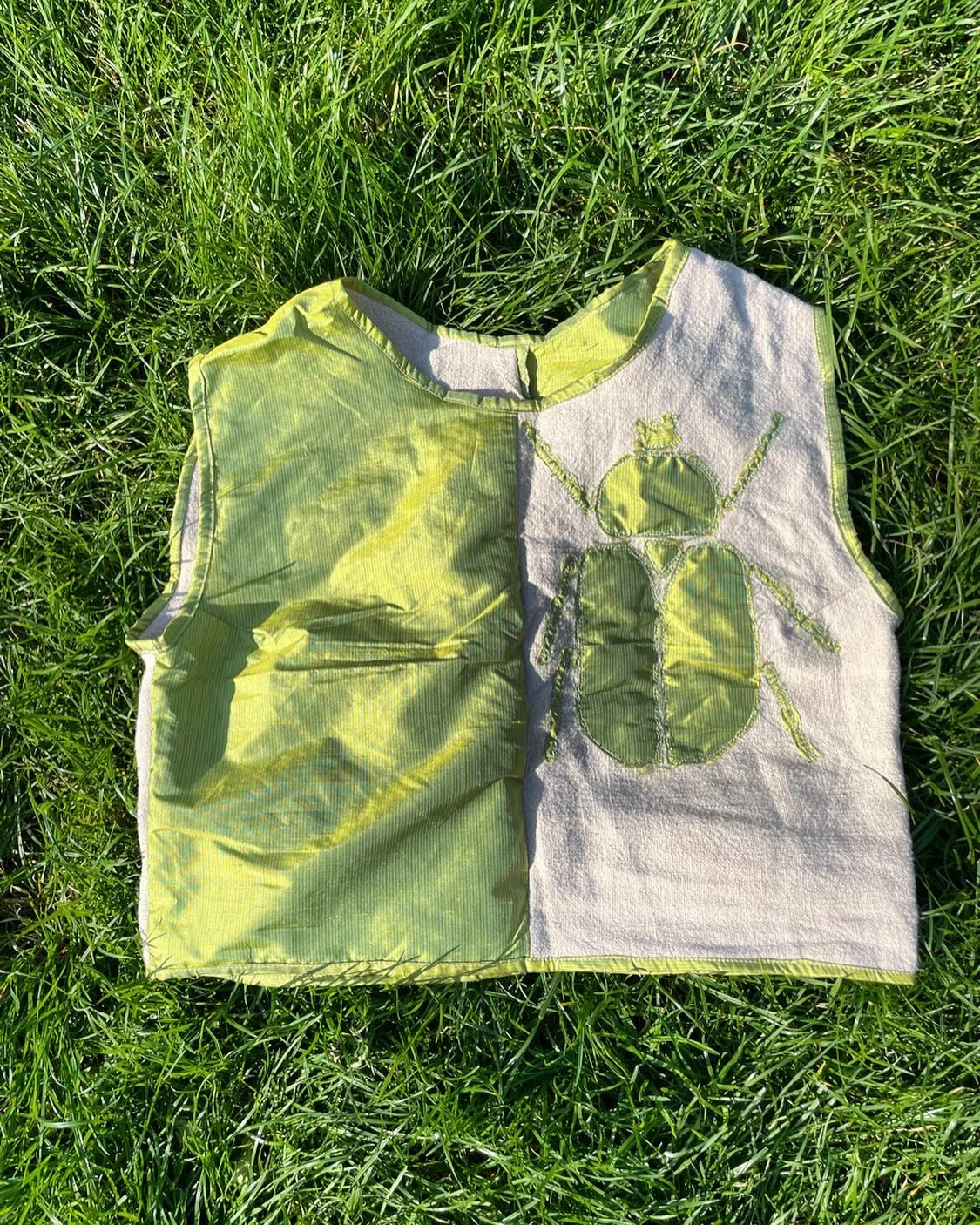 Beetle top