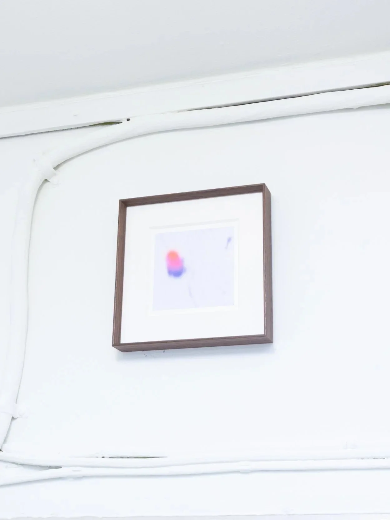 Amphiphile+Chamomile_installation+view+9.jpg