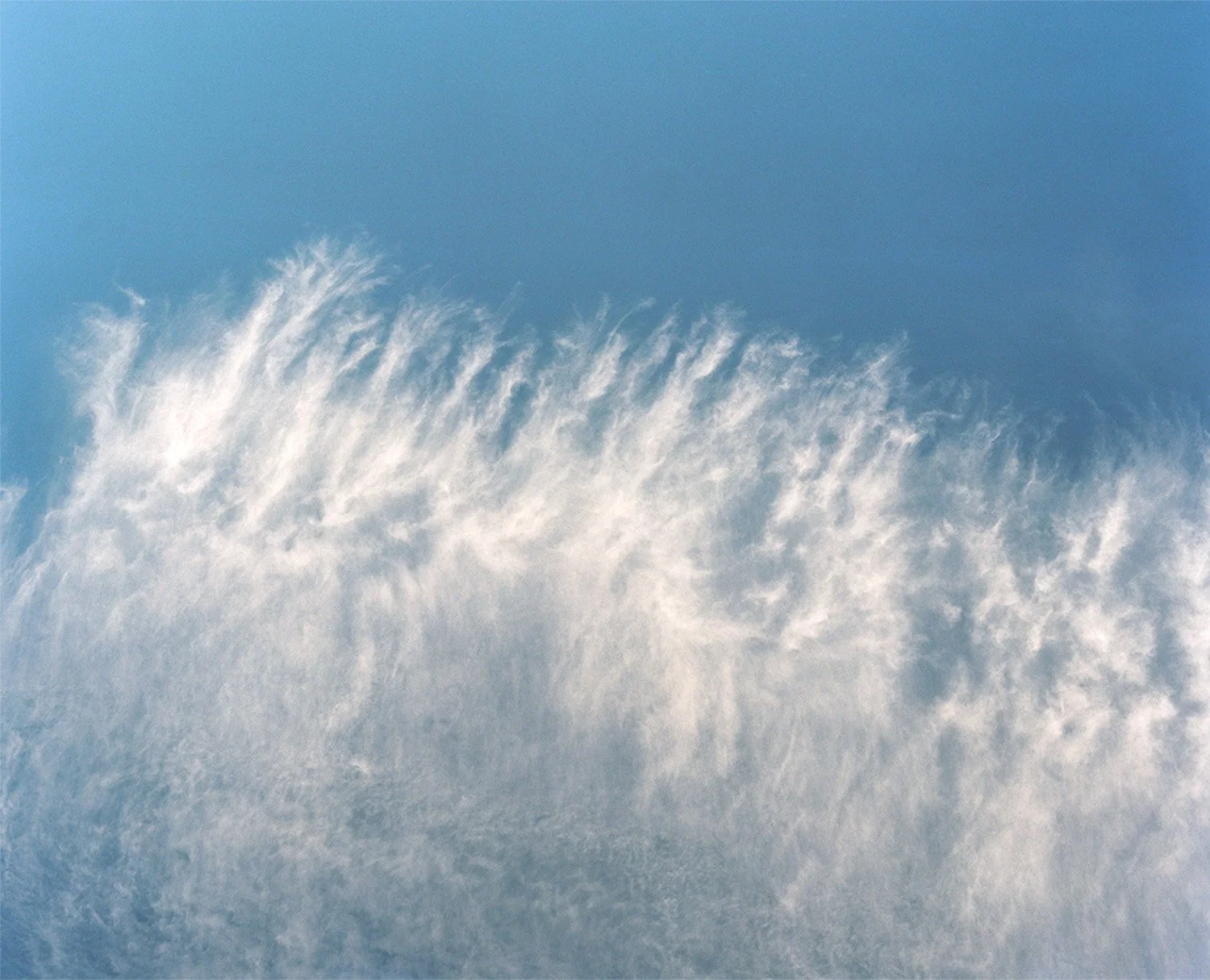 Plume.jpg
