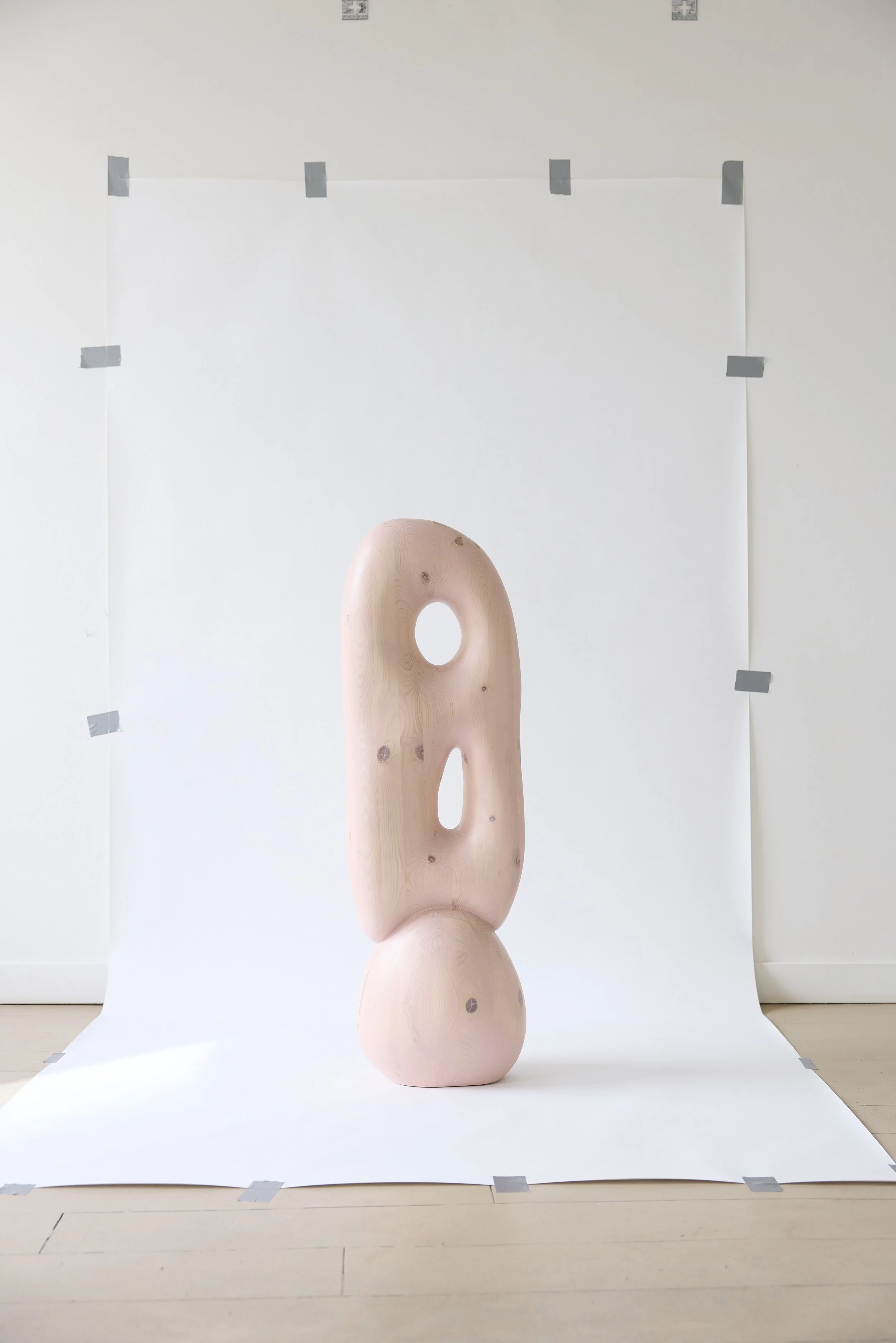 Pleun Van Dijk - Objects of Desire