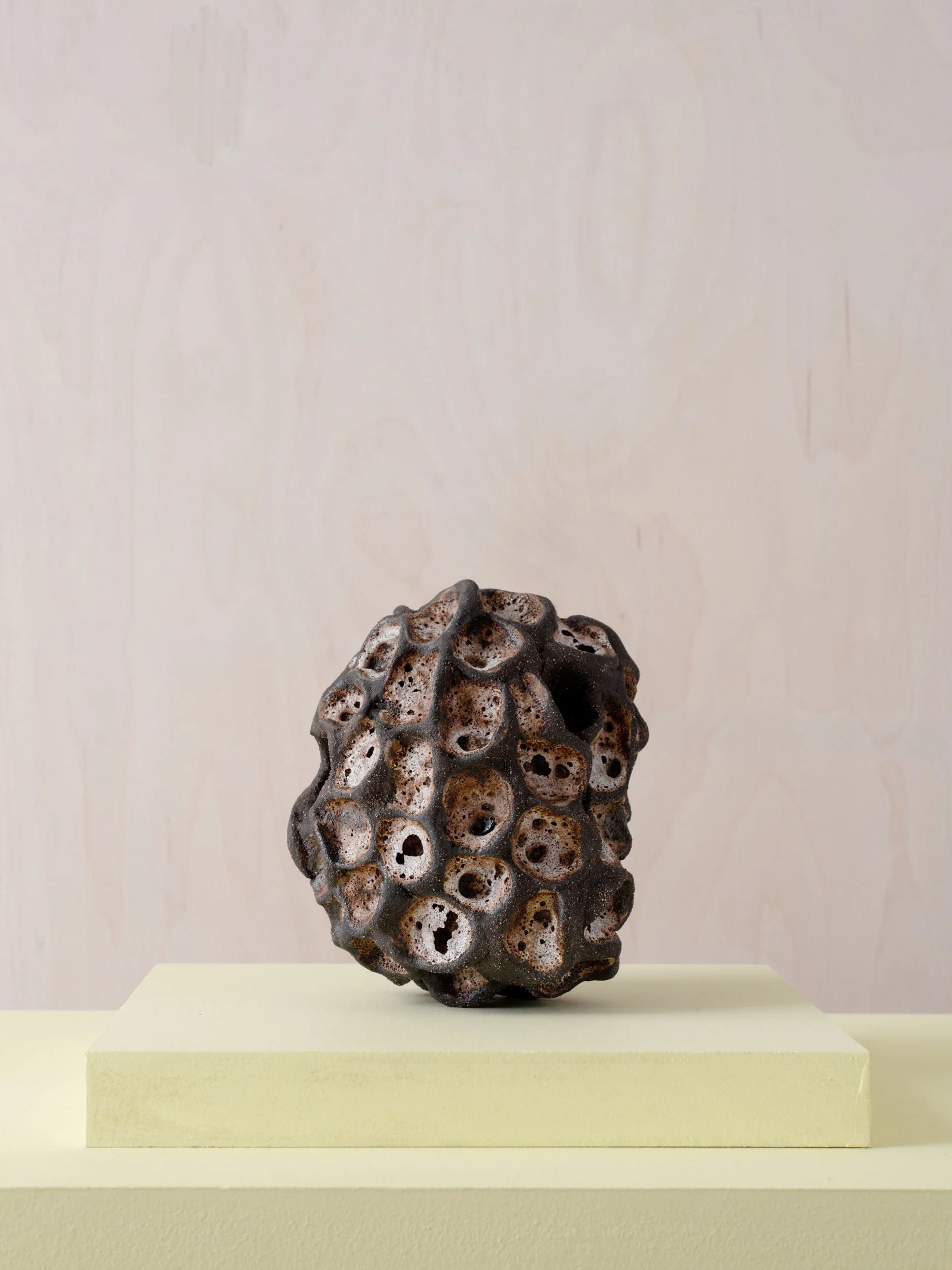 Tora Frogner - Black white holes