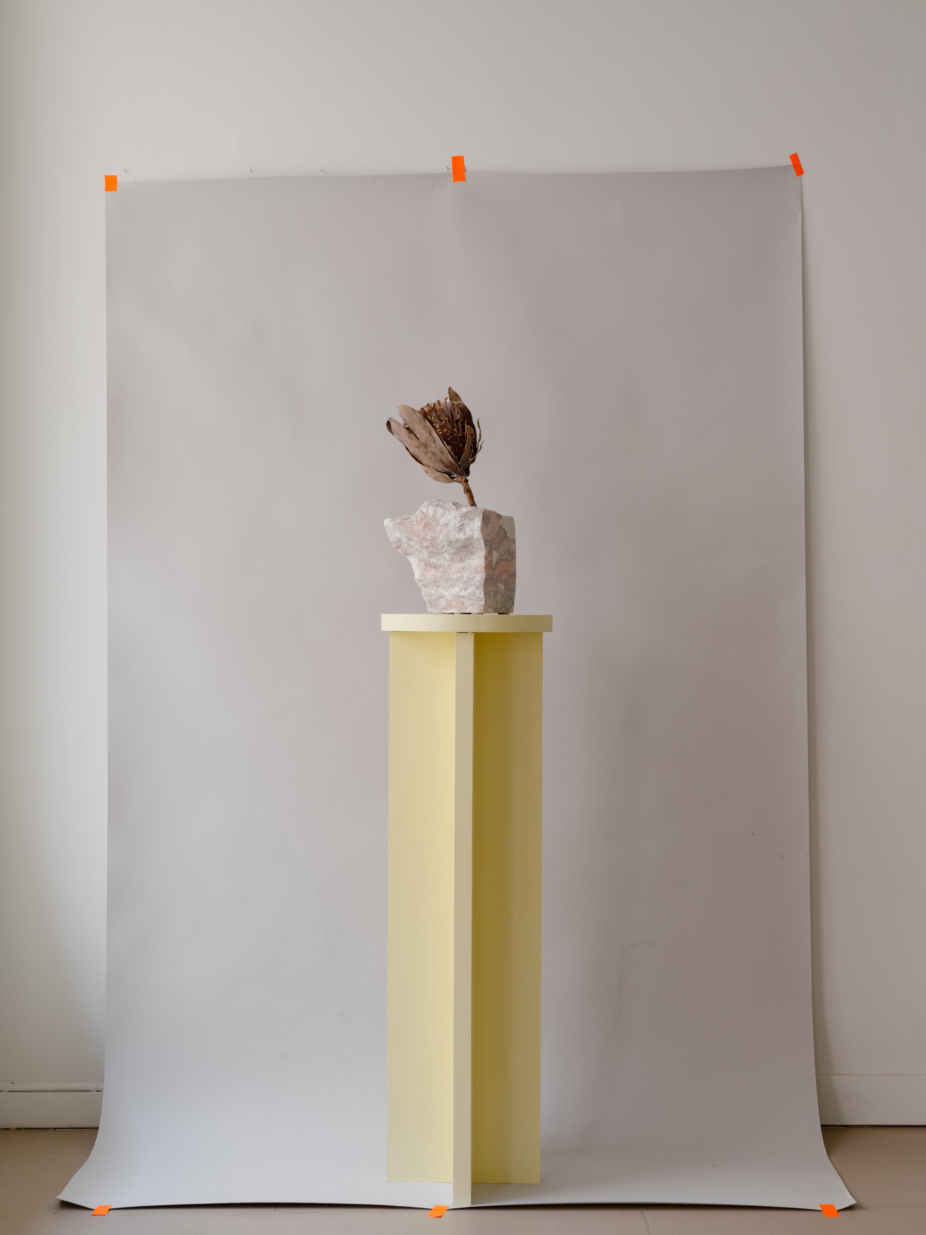D142-Produkter-03257_web.jpg
