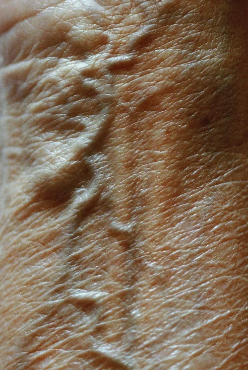 signeluksengard_diafragma14_D142(1).webp