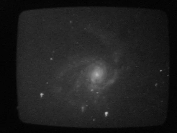 M99 face on spiral
