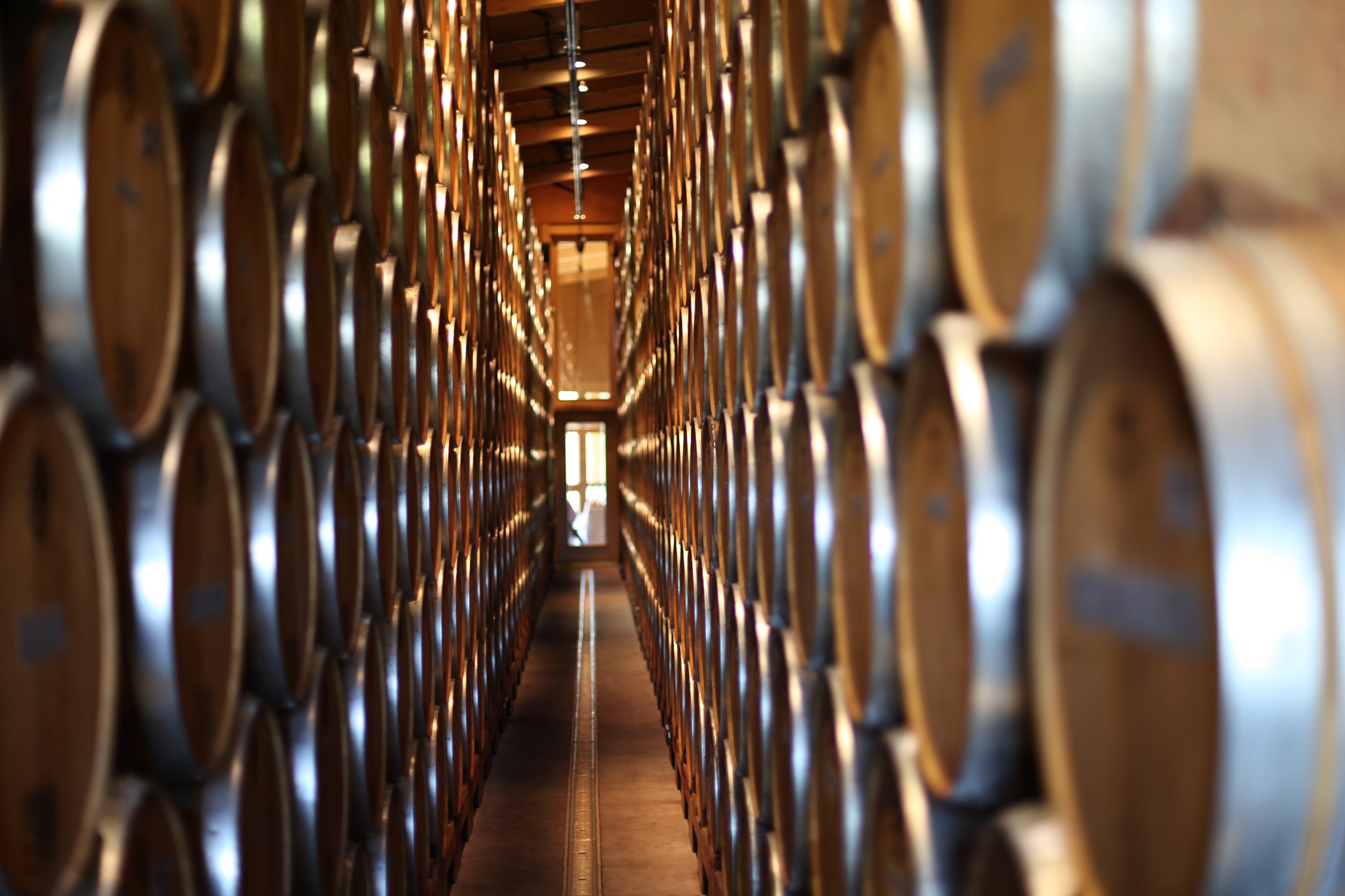 Image of wine barrels
