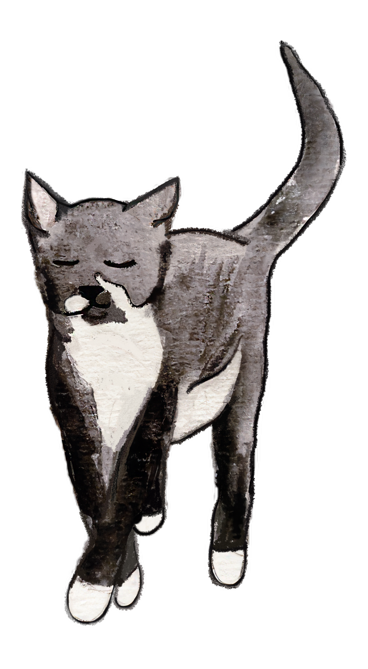 Watercolour of a black and white cat by JSL Henning