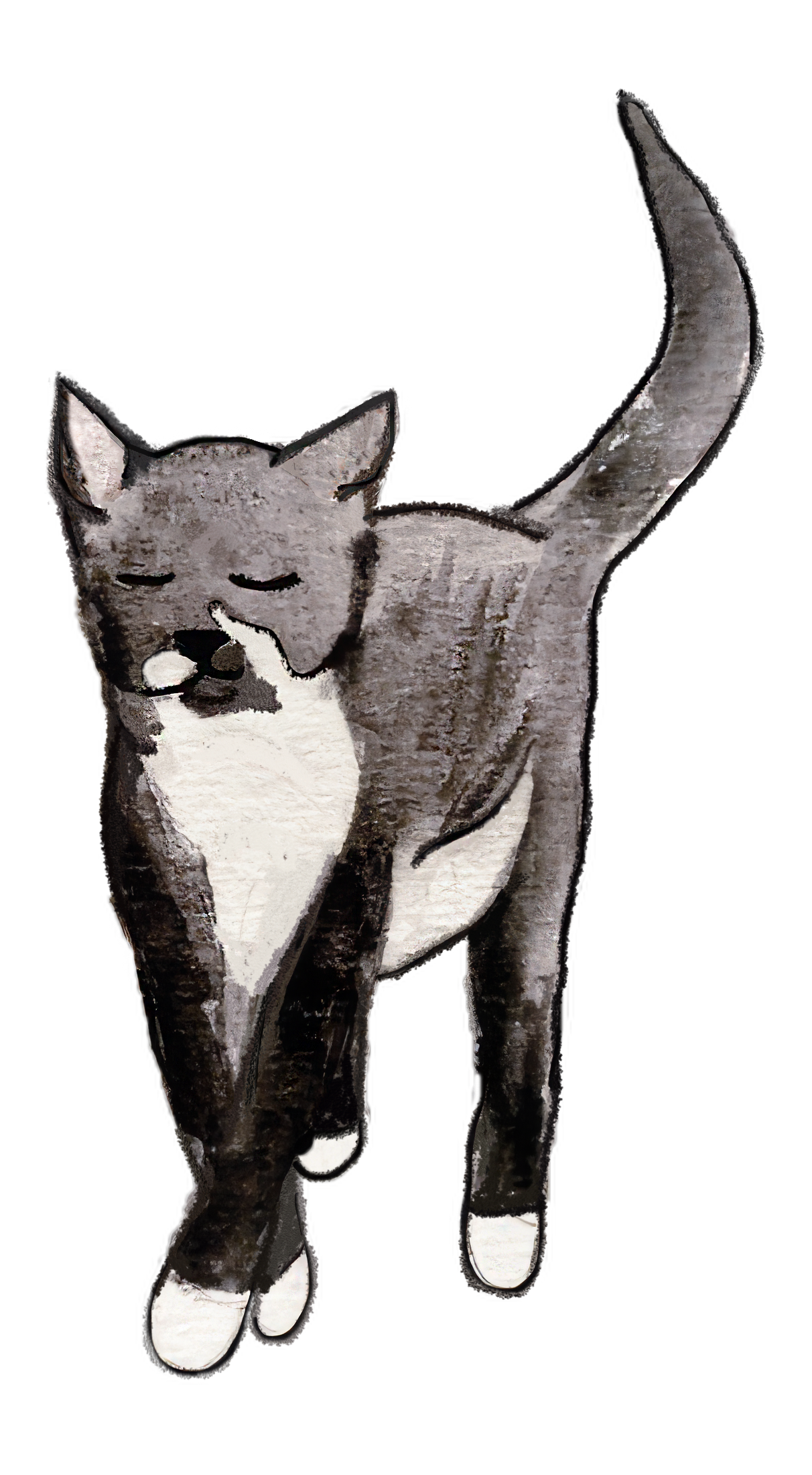 What happens when outdoor cats become indoor cats? Part I