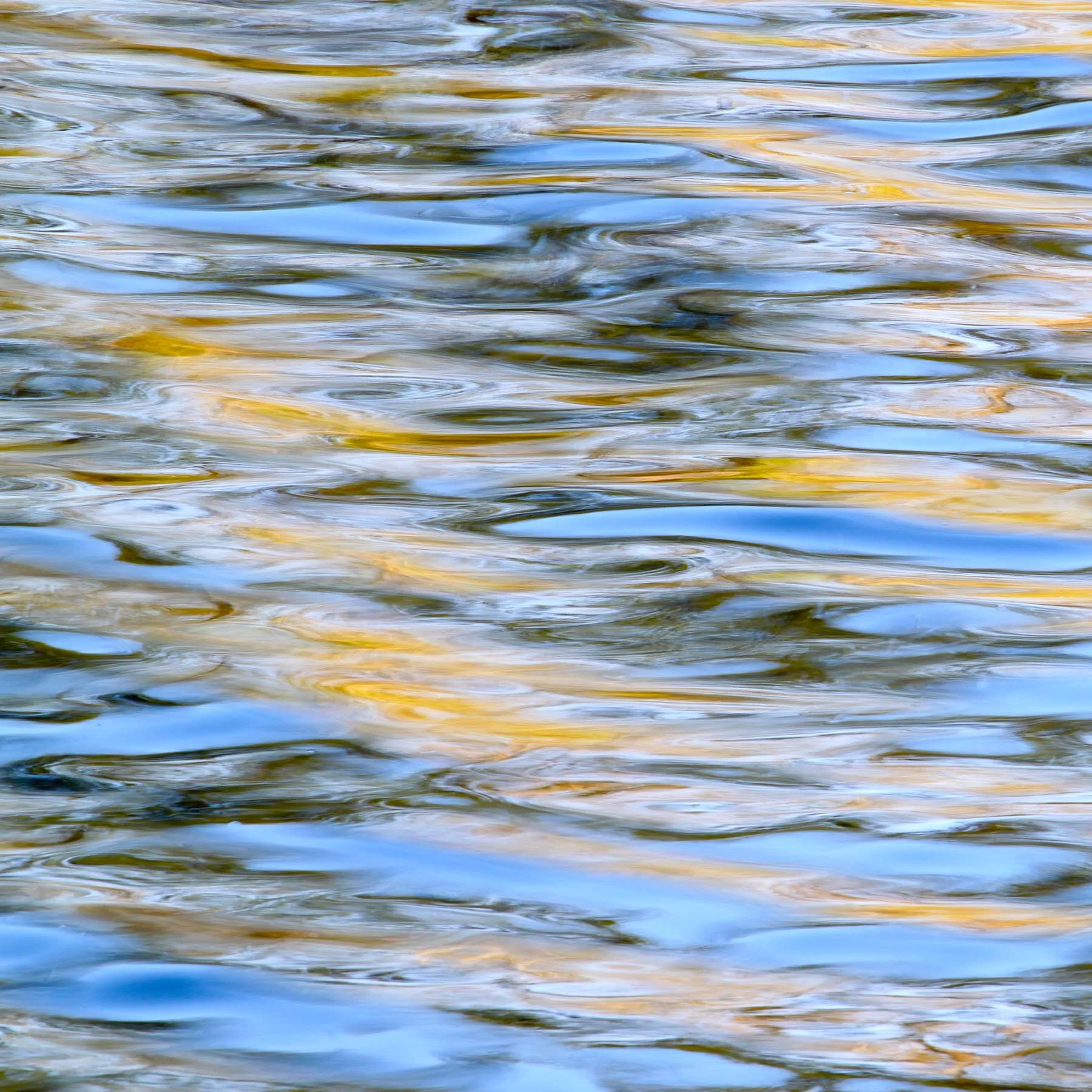 Water 1