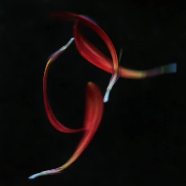Adagio #5