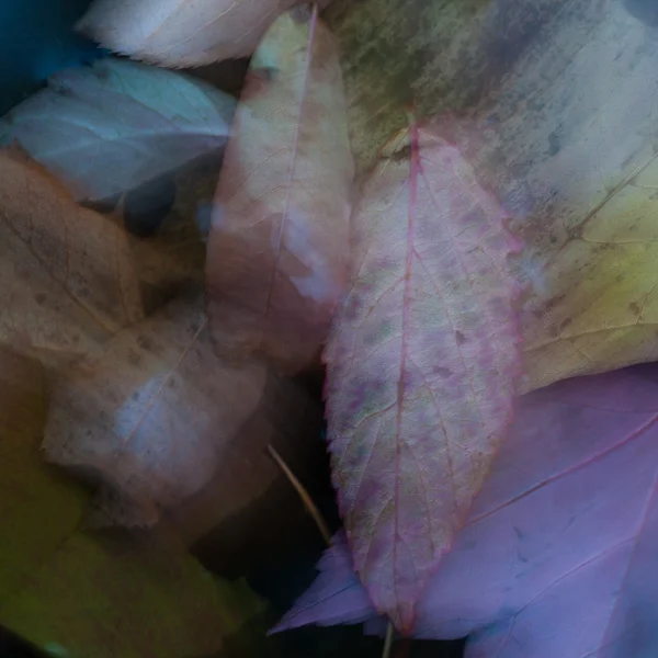 Unleaving #12