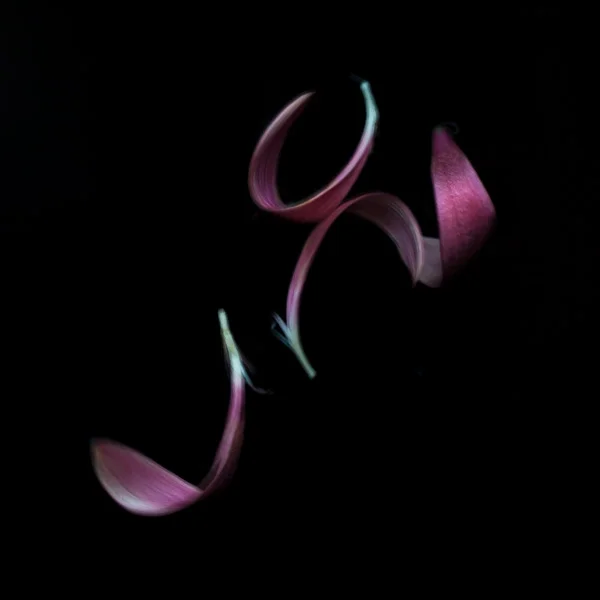 Adagio #25