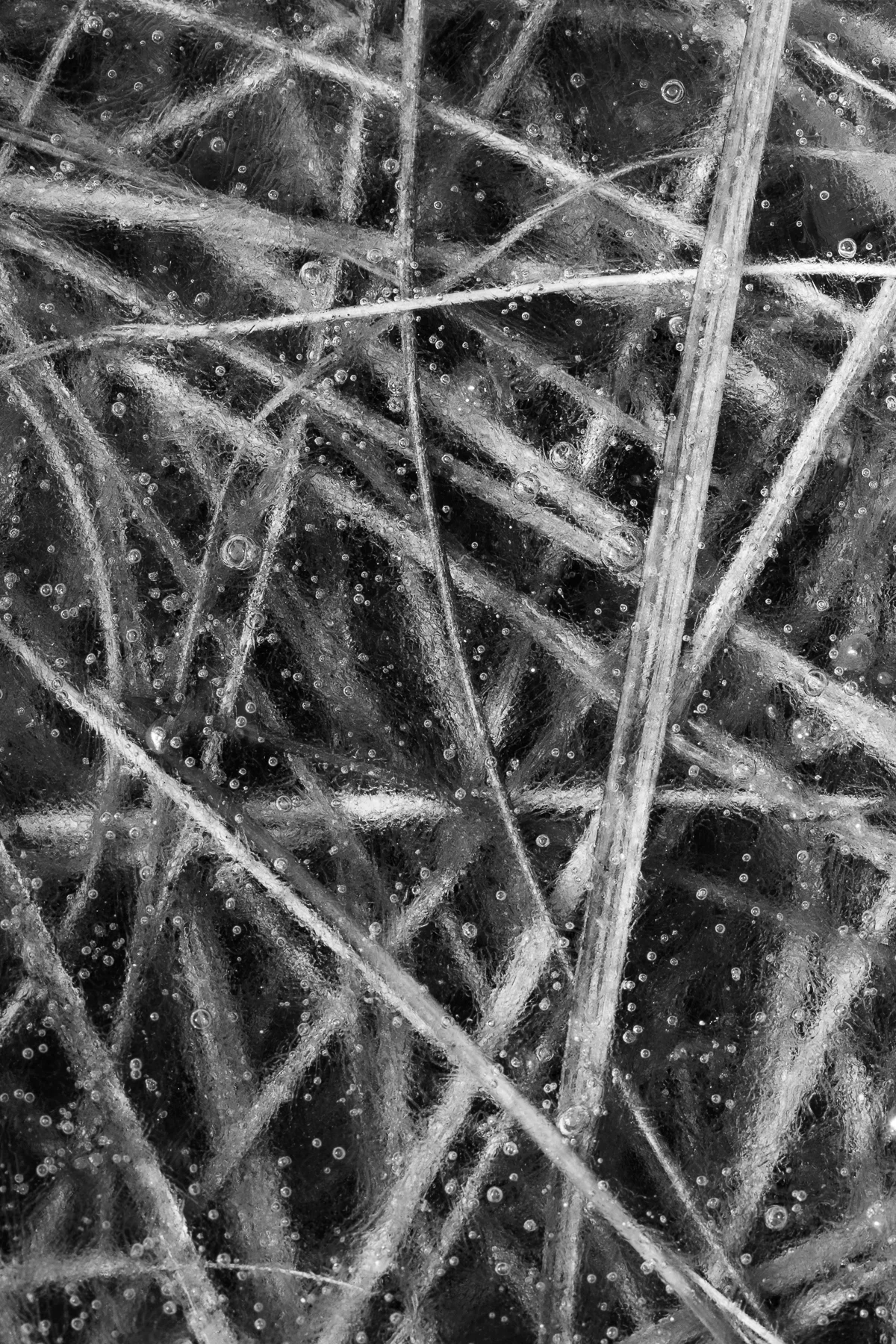 Natural Geometries #7 (Copy)