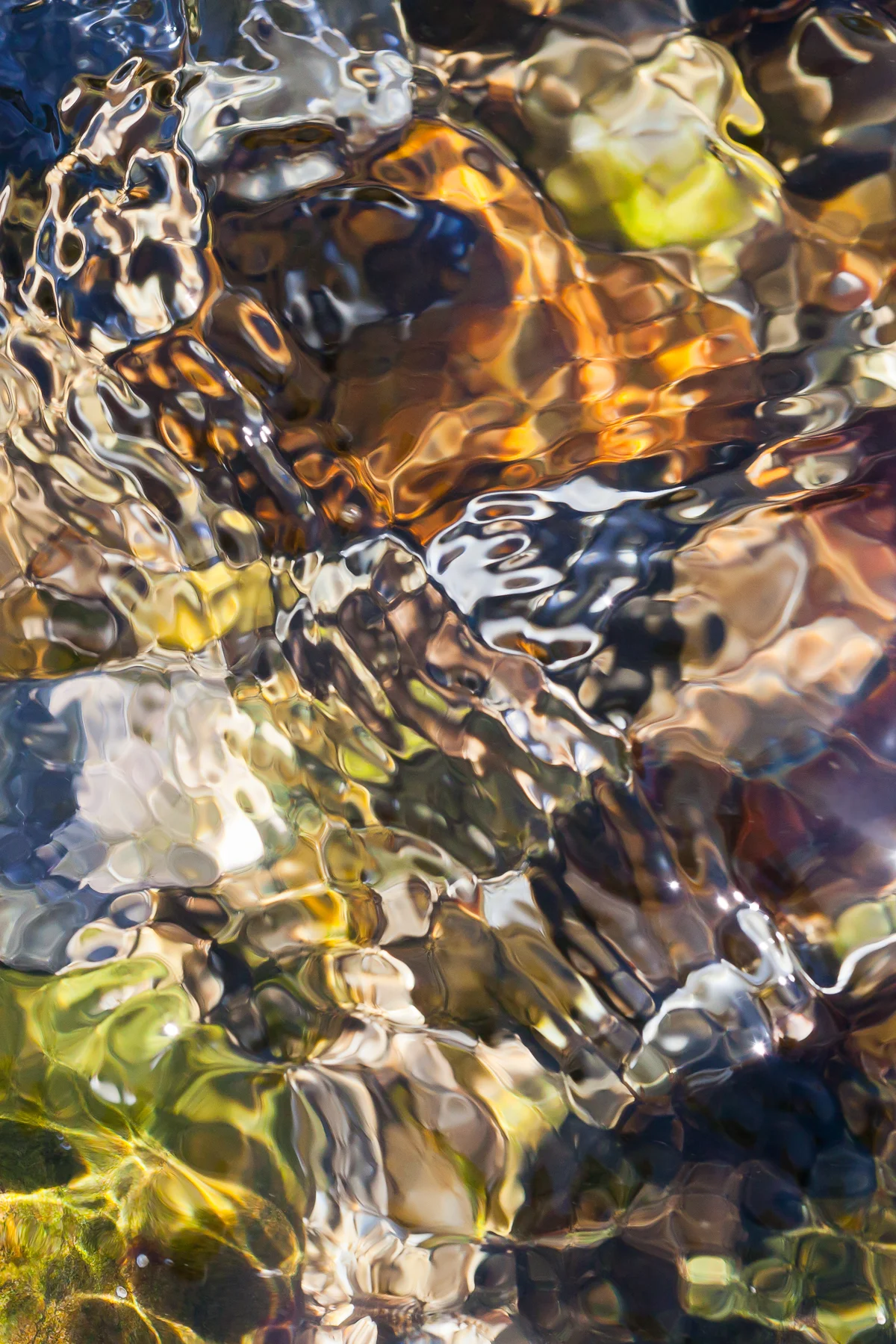Flow #3 (Copy)