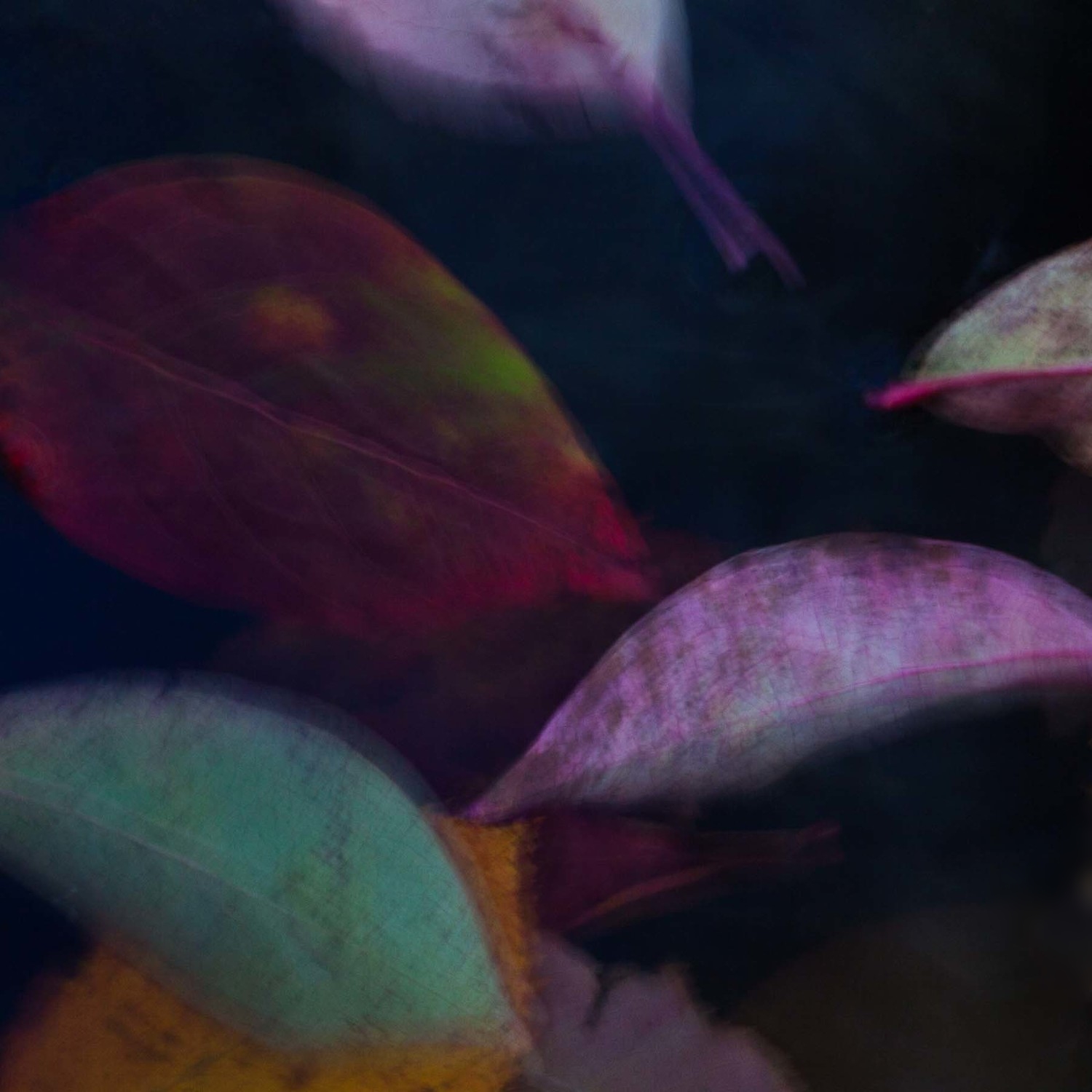 Unleaving #10 (Copy)