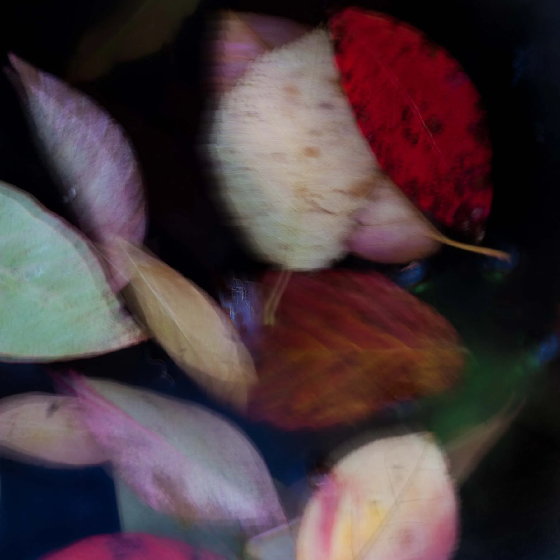 Unleaving #25 (Copy)