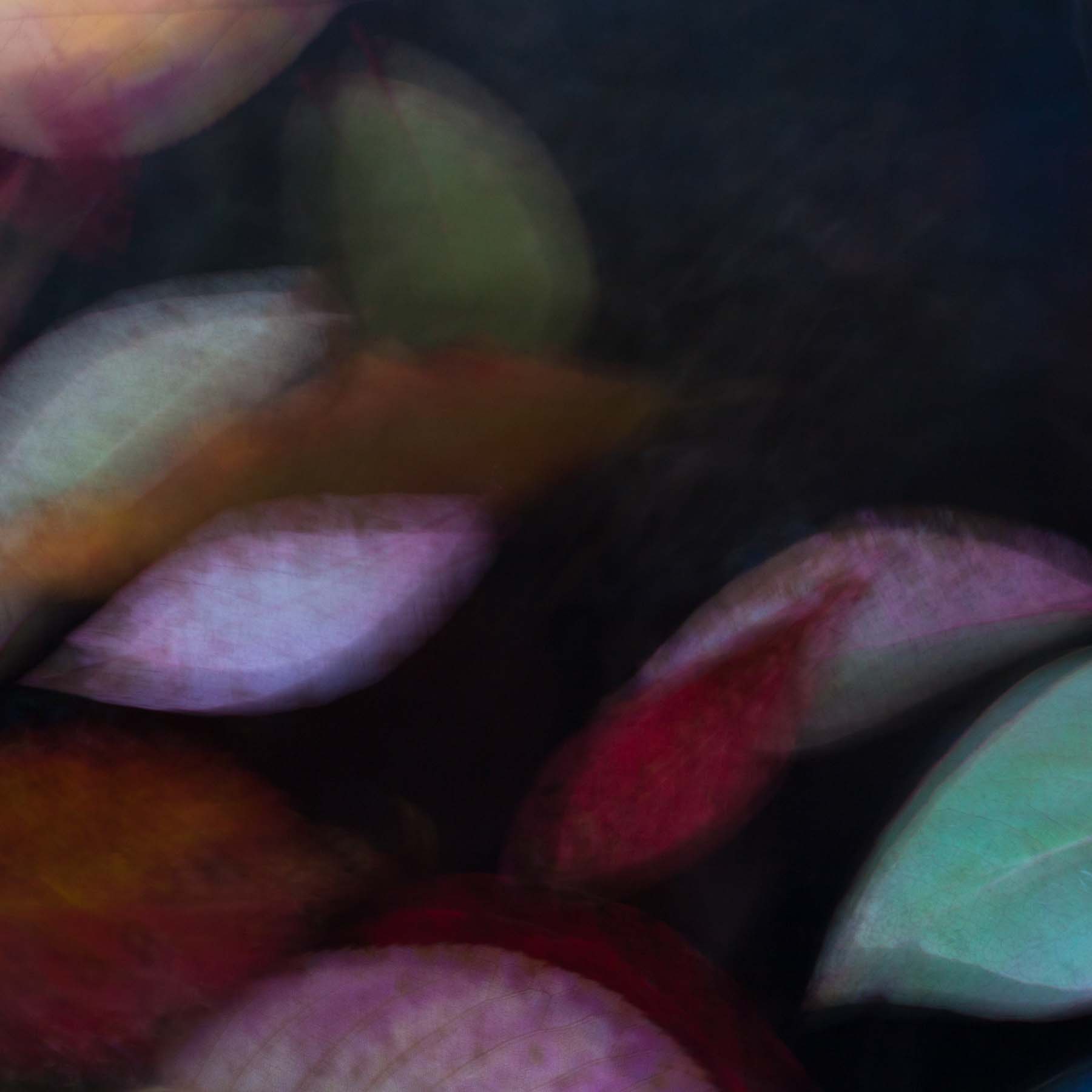 Unleaving #4 (Copy)