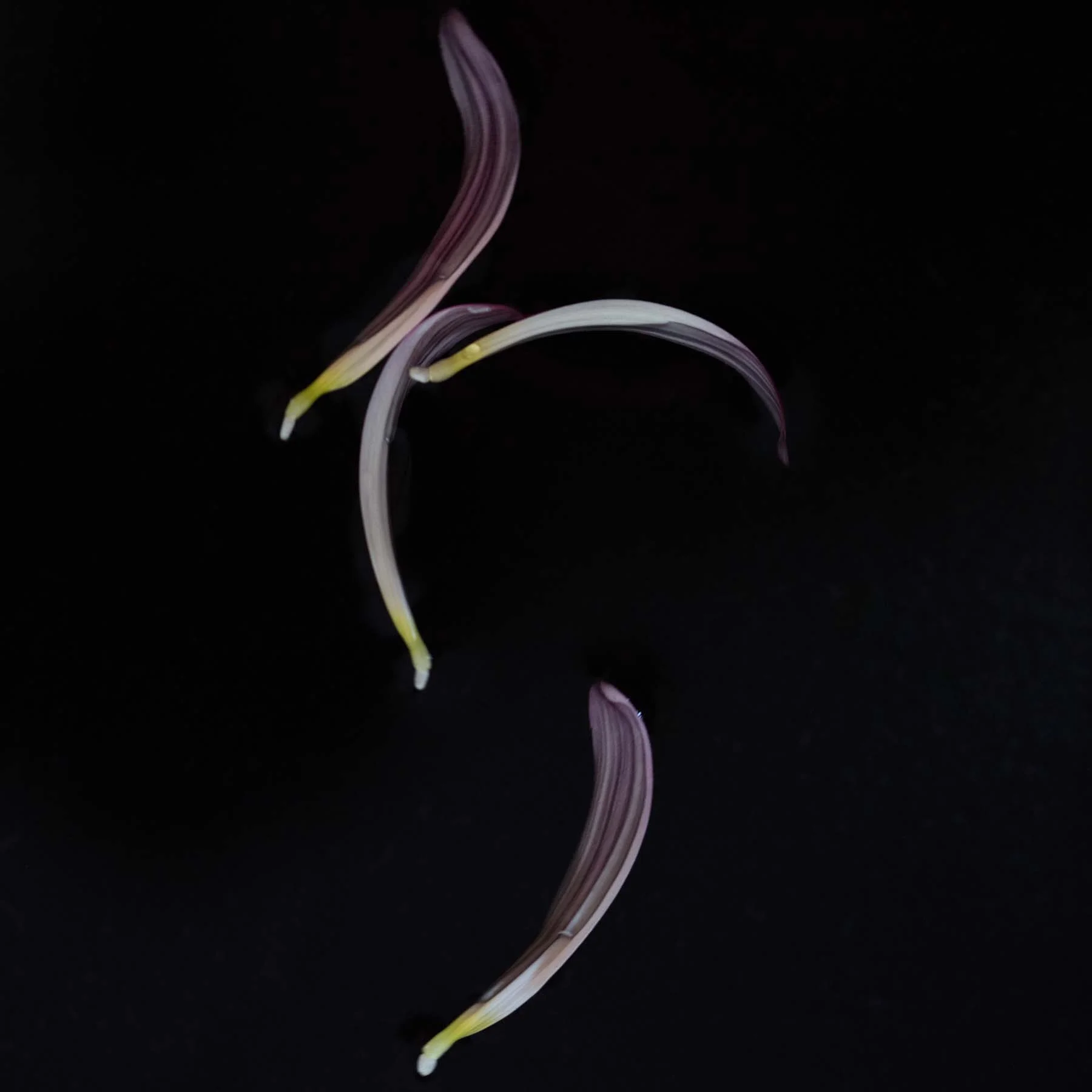 Adagio #17 (Copy)