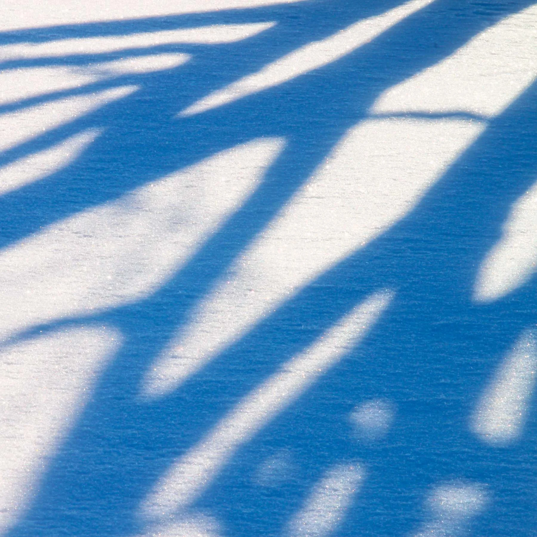 Snow Shadows #3 (Copy)