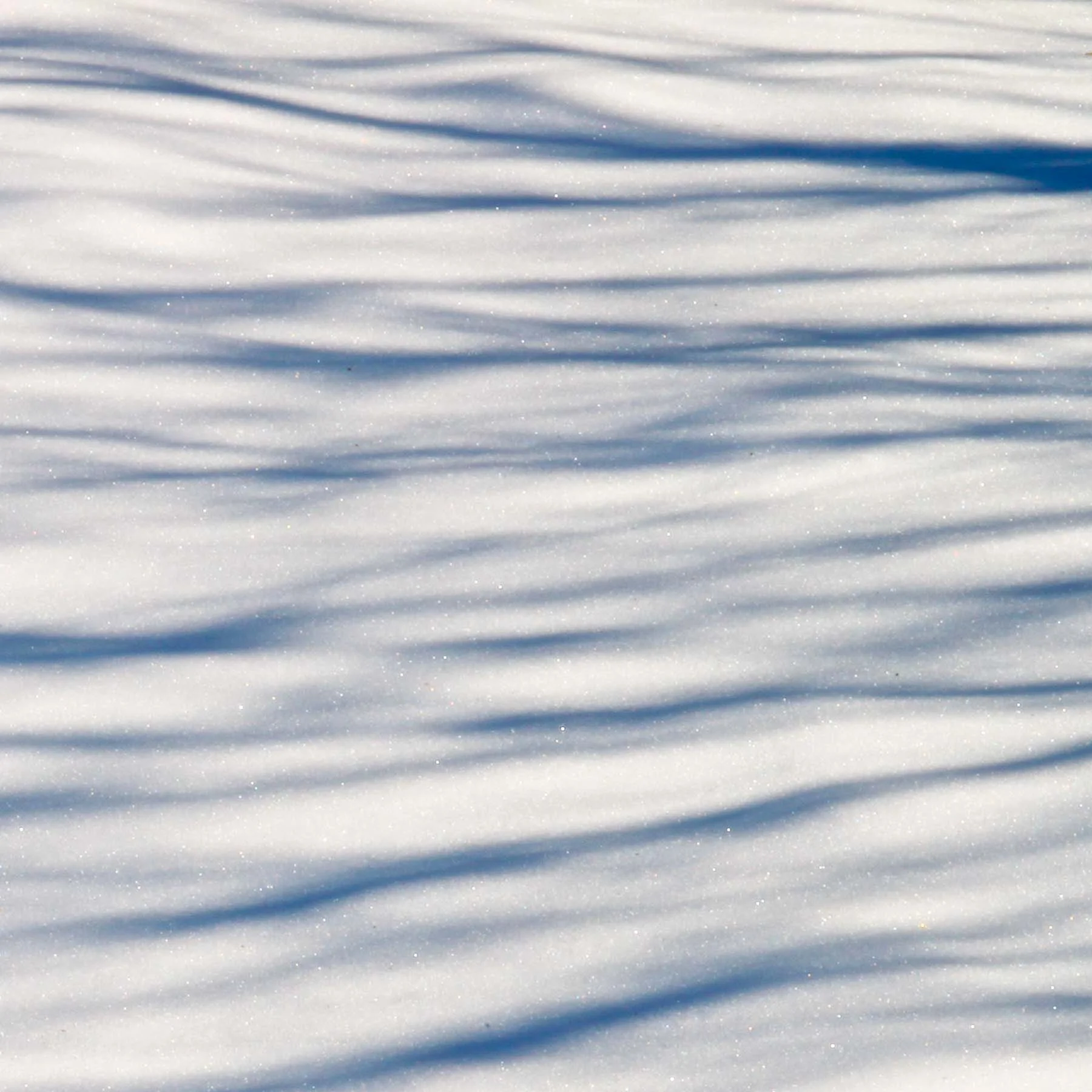 Snow Shadows #6 (Copy)