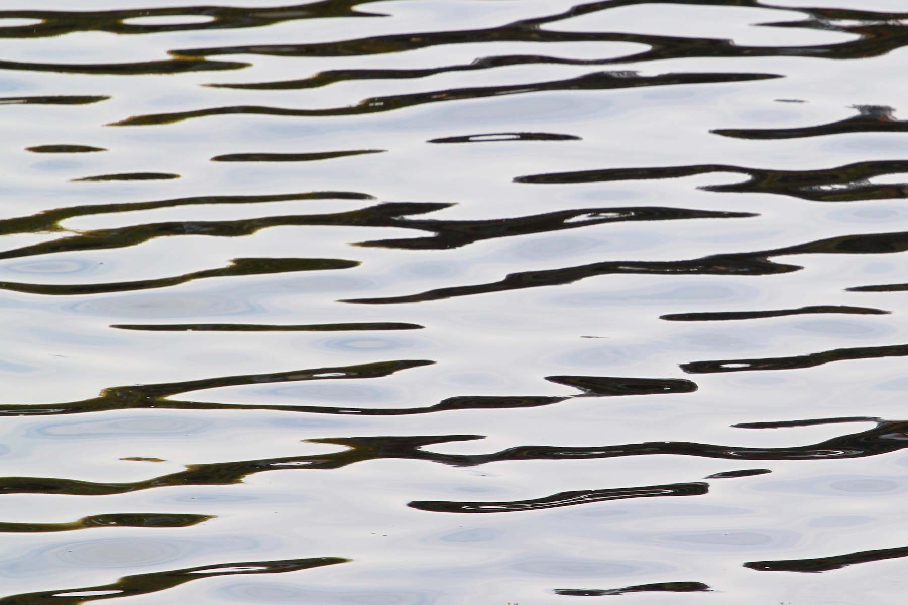 Water #21 (Copy)
