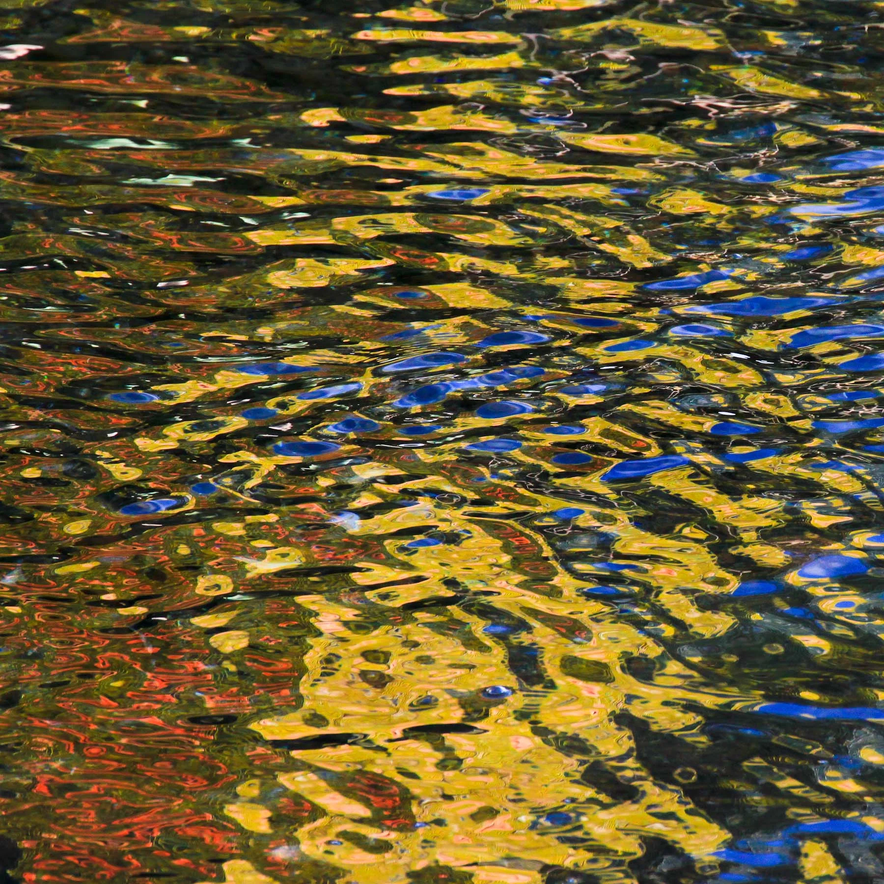 Marina #2 (Copy)