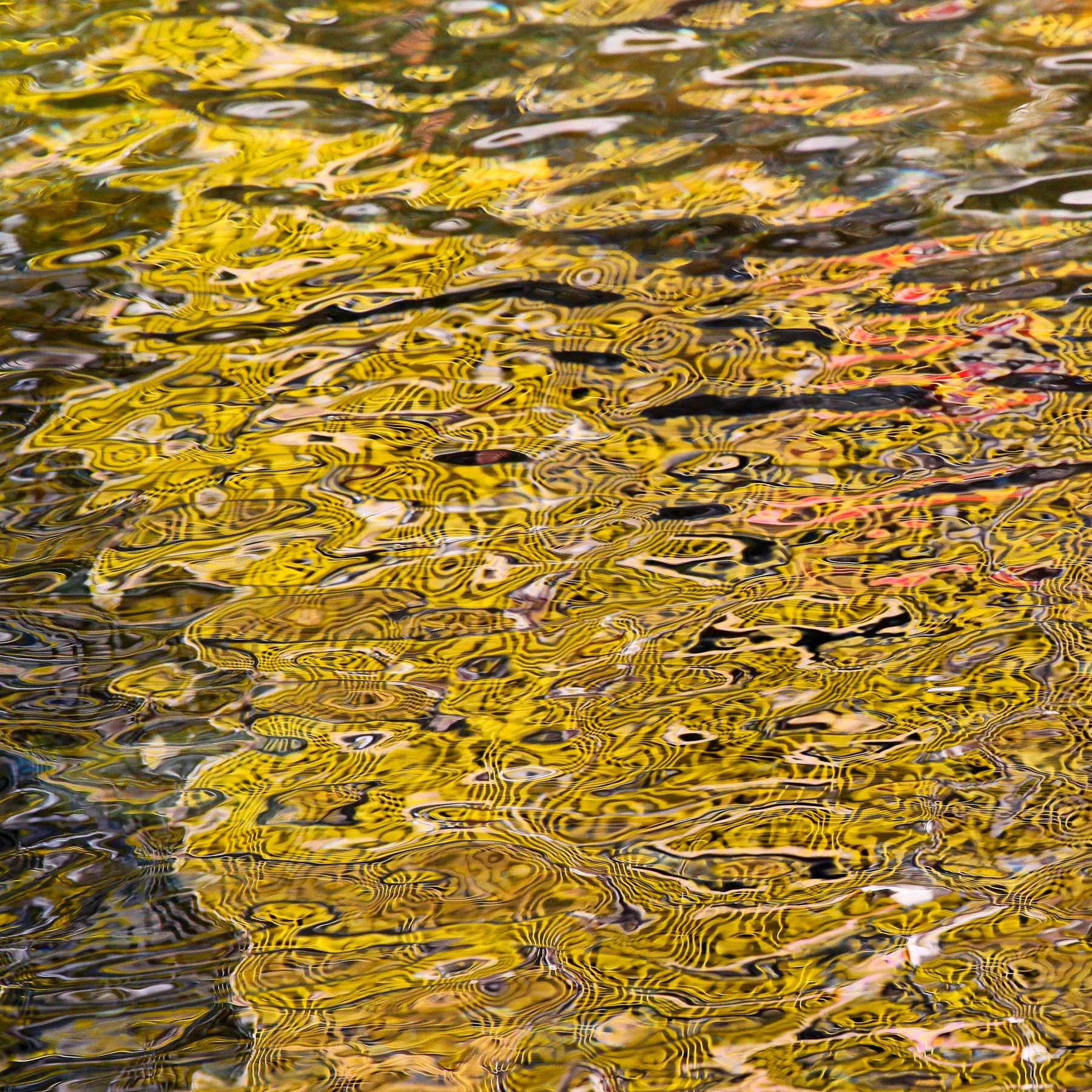 Marina #6 (Copy)