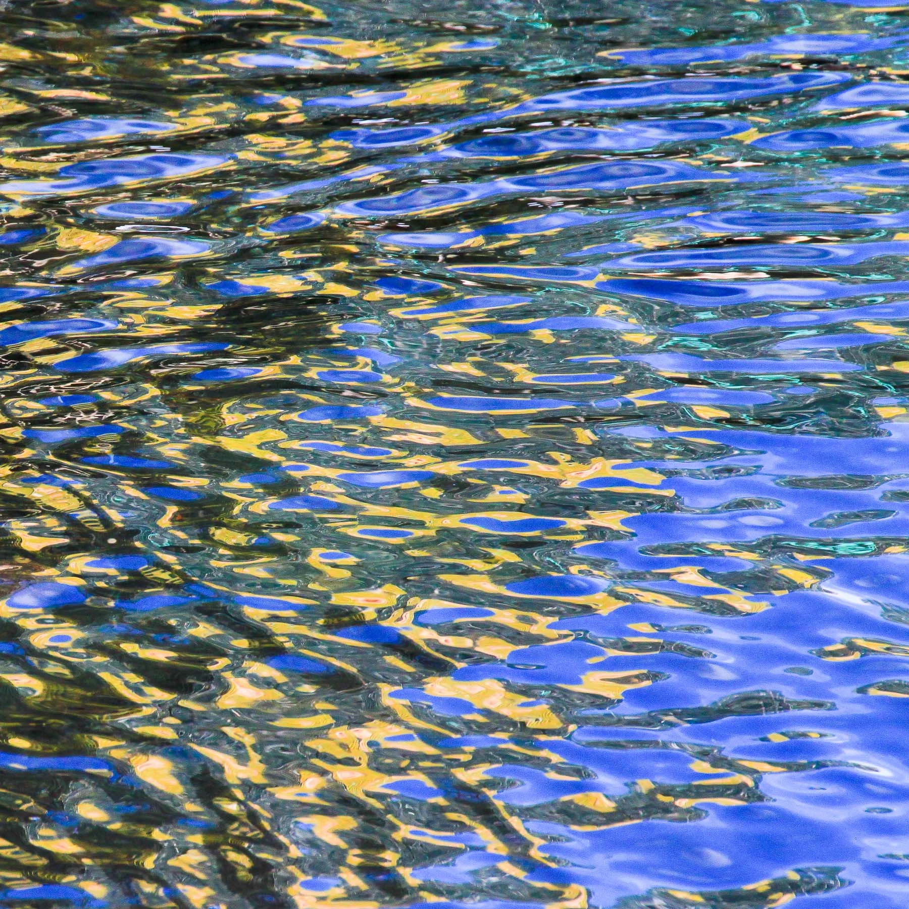Marina #4 (Copy)