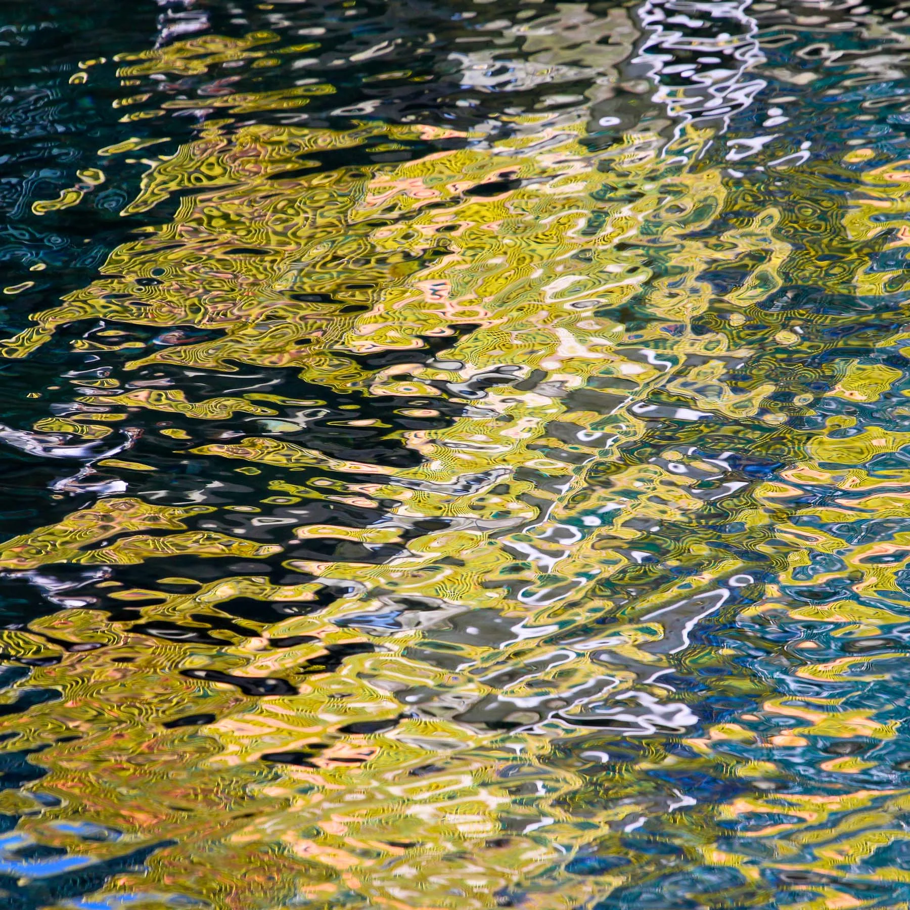 Marina #7 (Copy)