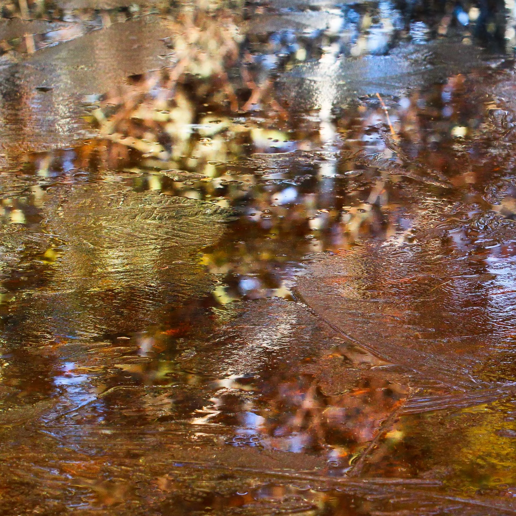 Autumn Ice #4 (Copy)