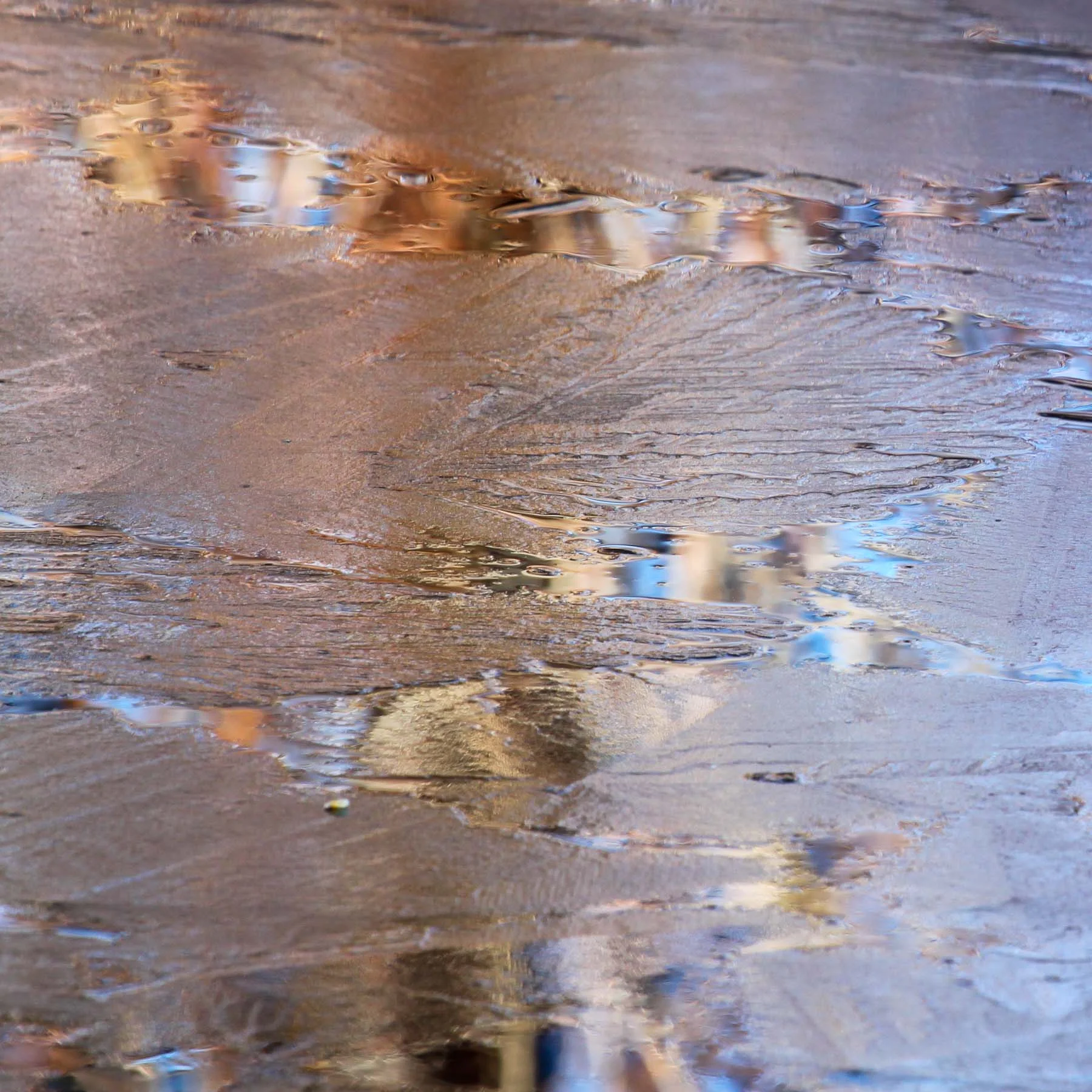 Autumn Ice #2 (Copy)