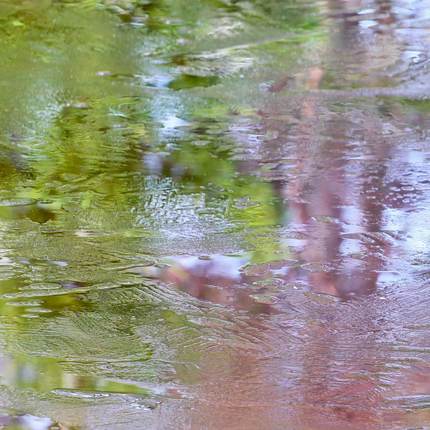 Autumn Ice #3 (Copy)