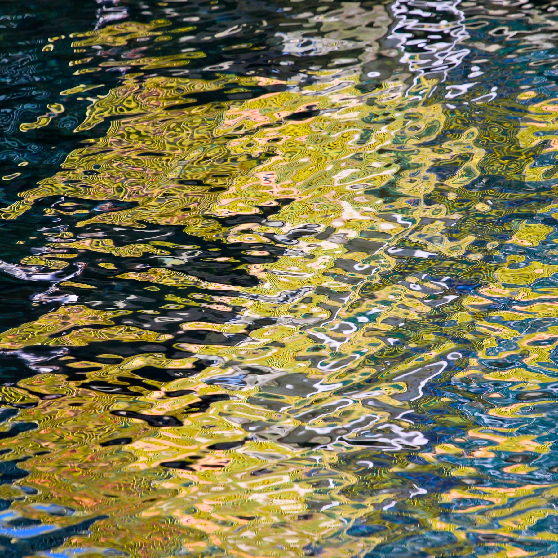 Marina #7 (Copy)