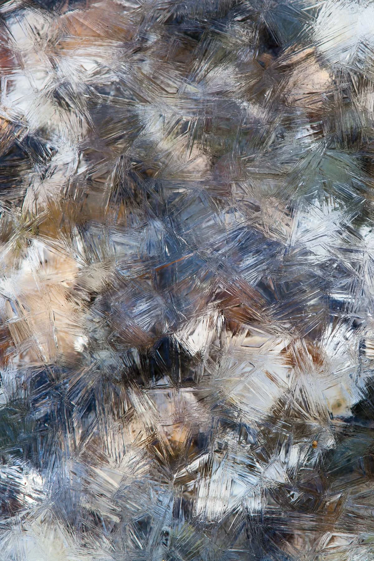 February Shore #8 (Copy)