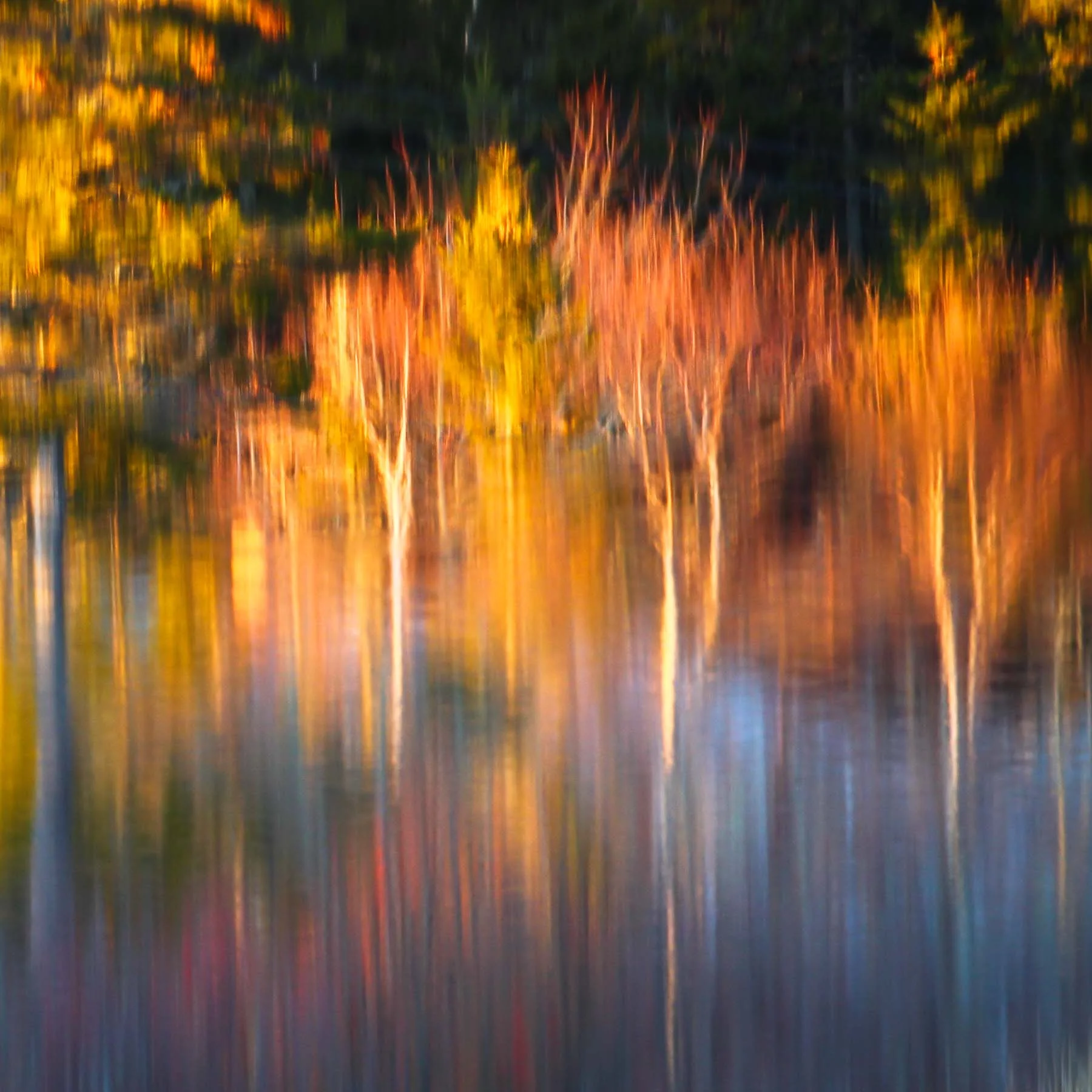Marsh #6 (Copy)