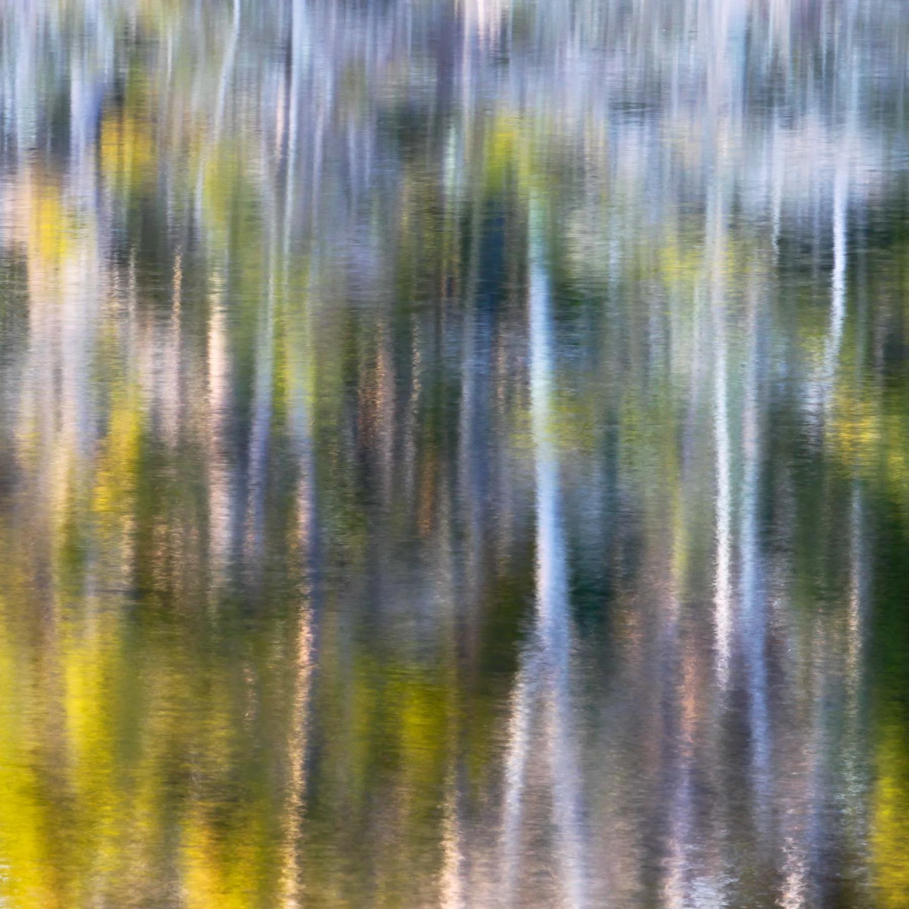 Pond #7 (Copy)