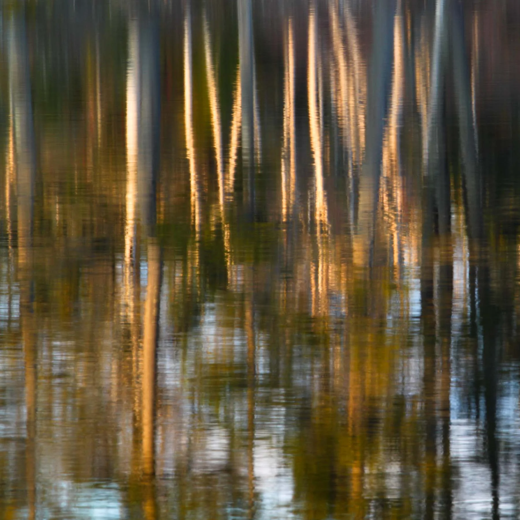 Pond #5 (Copy)