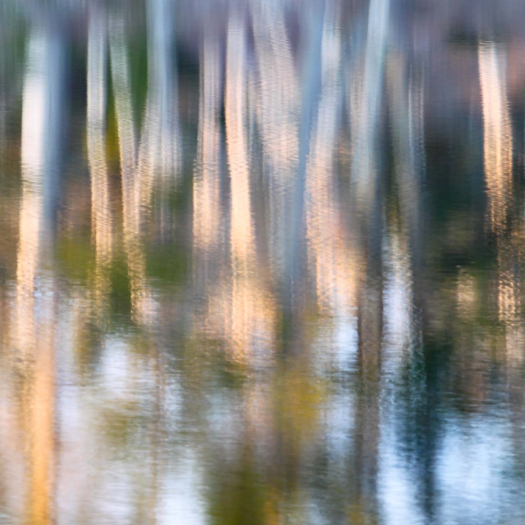 Pond #4 (Copy)
