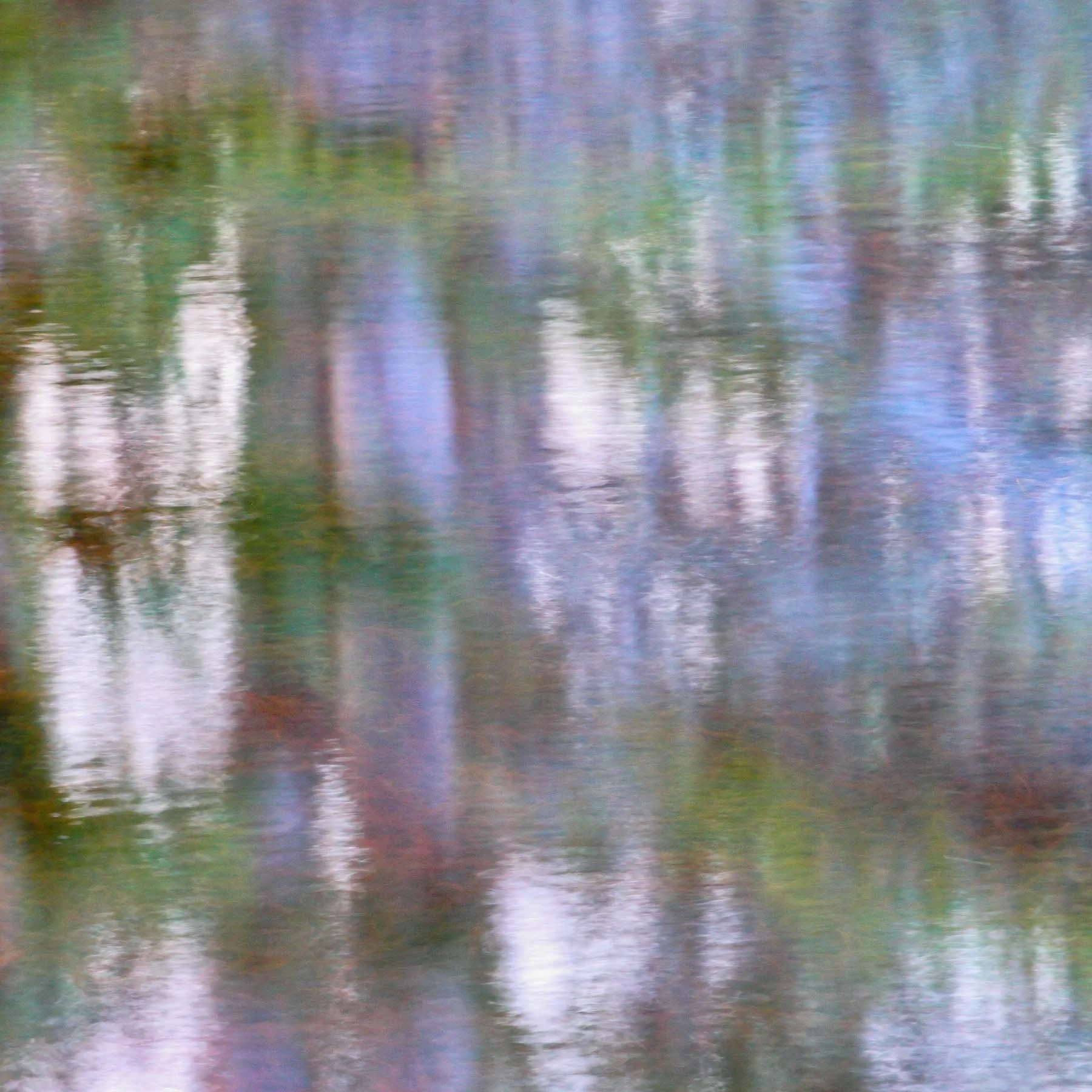 Pond #3 (Copy)