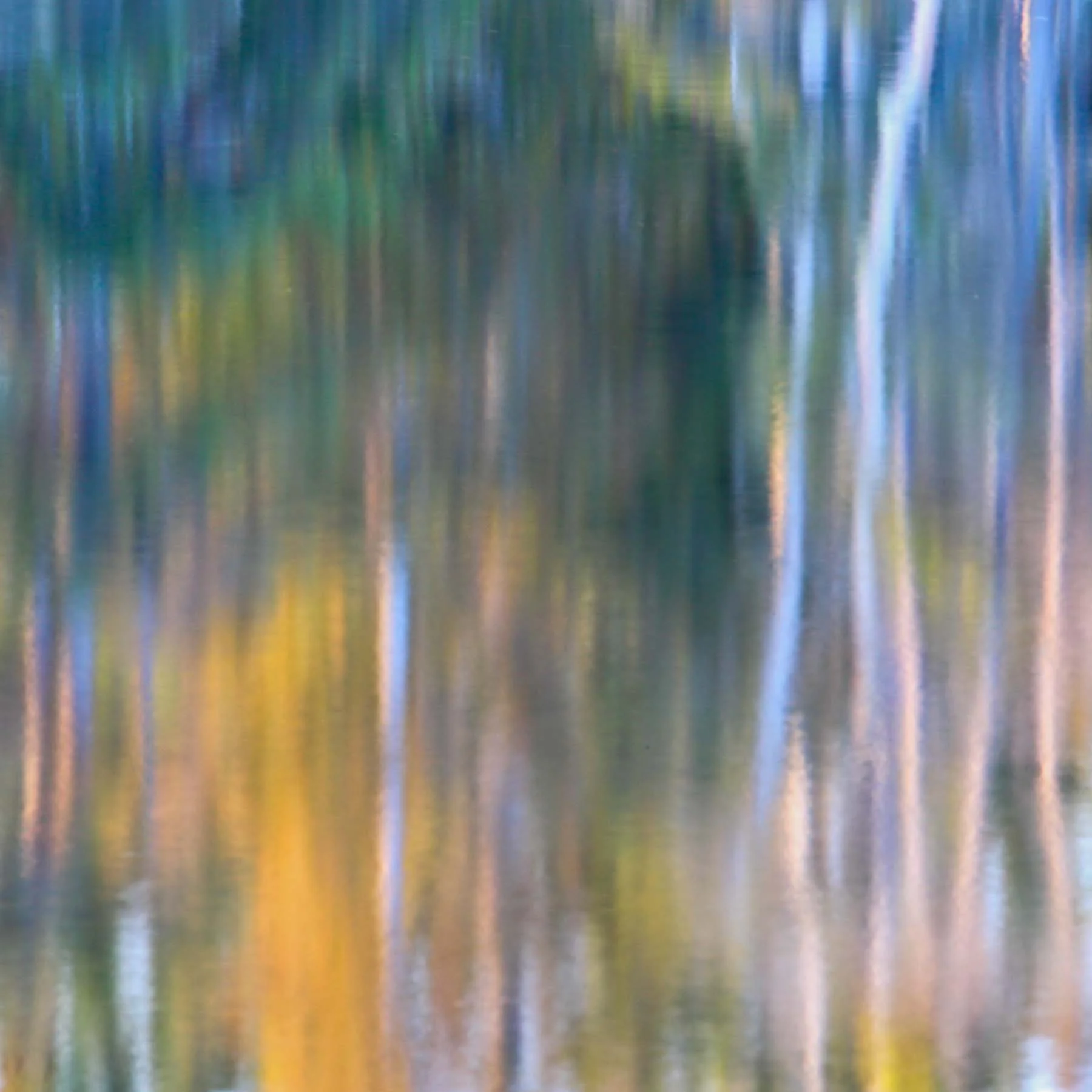 Pond #2 (Copy)