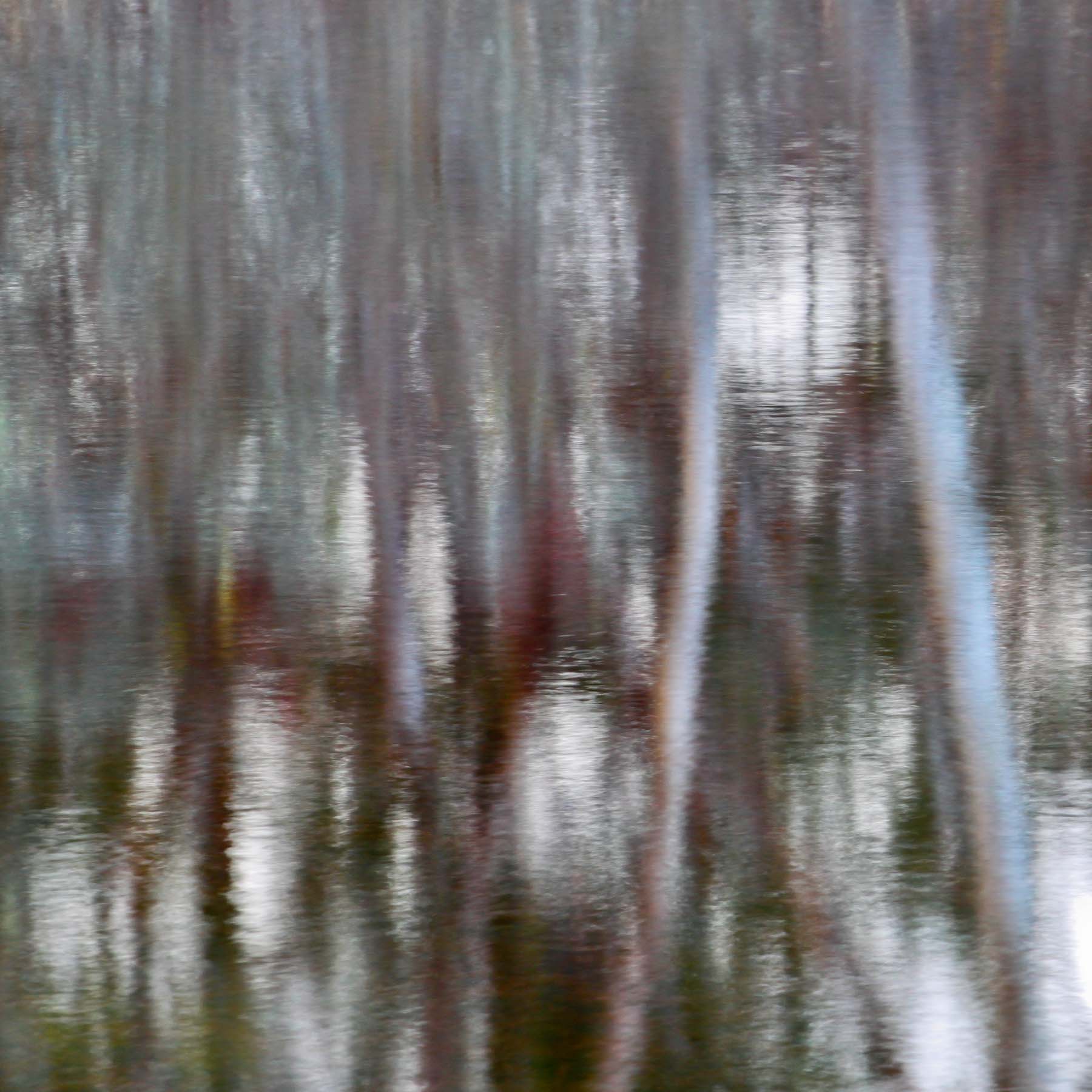 Pond #6 (Copy)