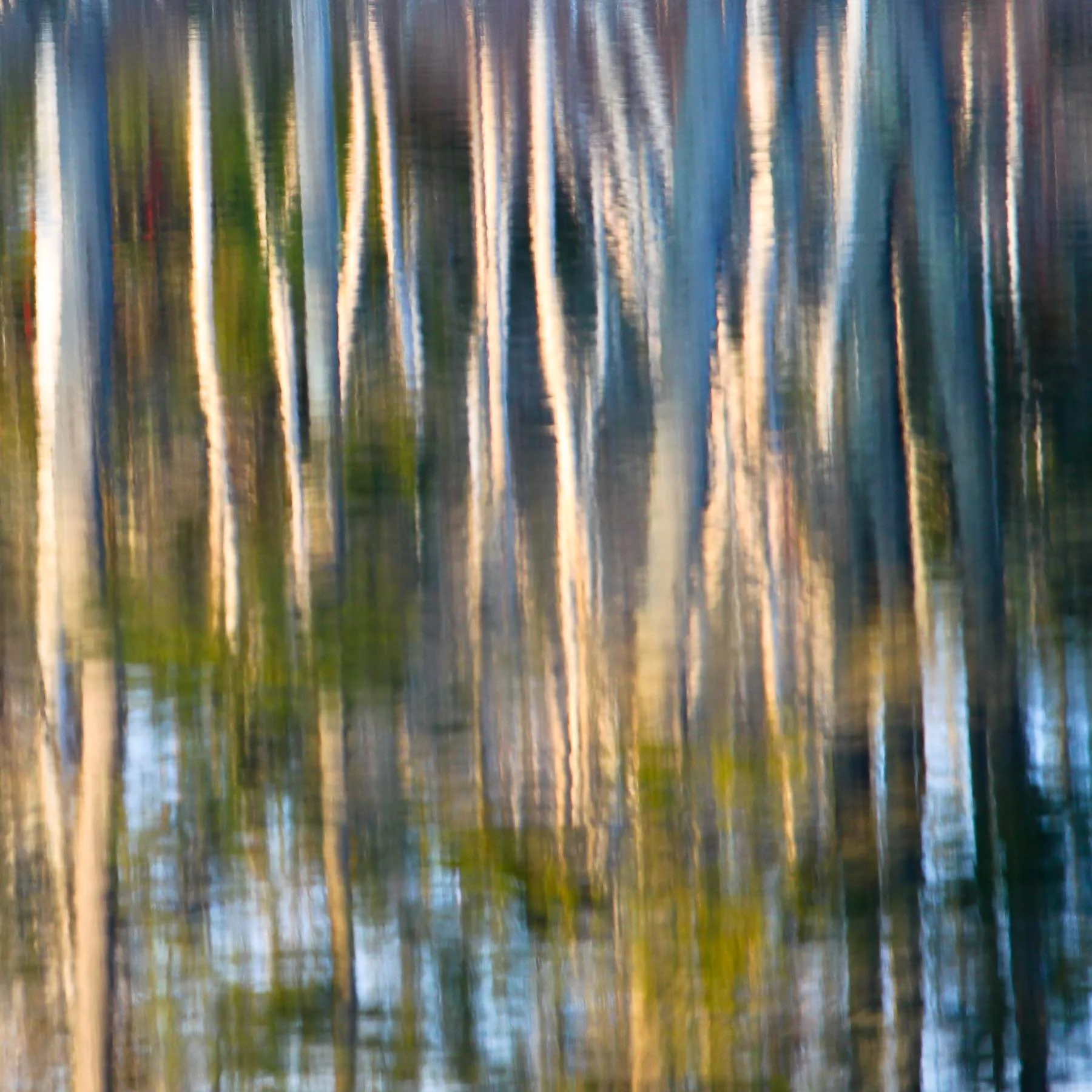 Pond #9 (Copy)