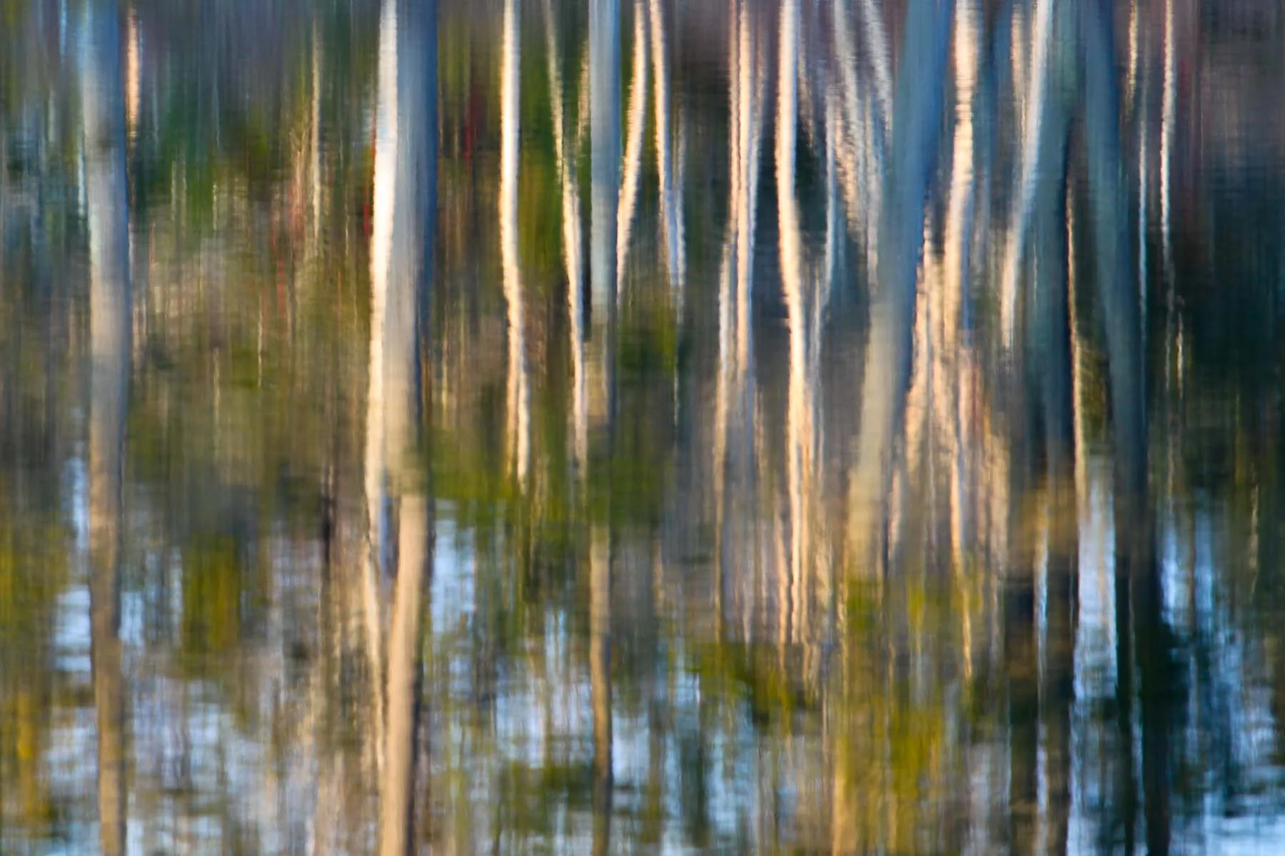 Pond #8 (Copy)
