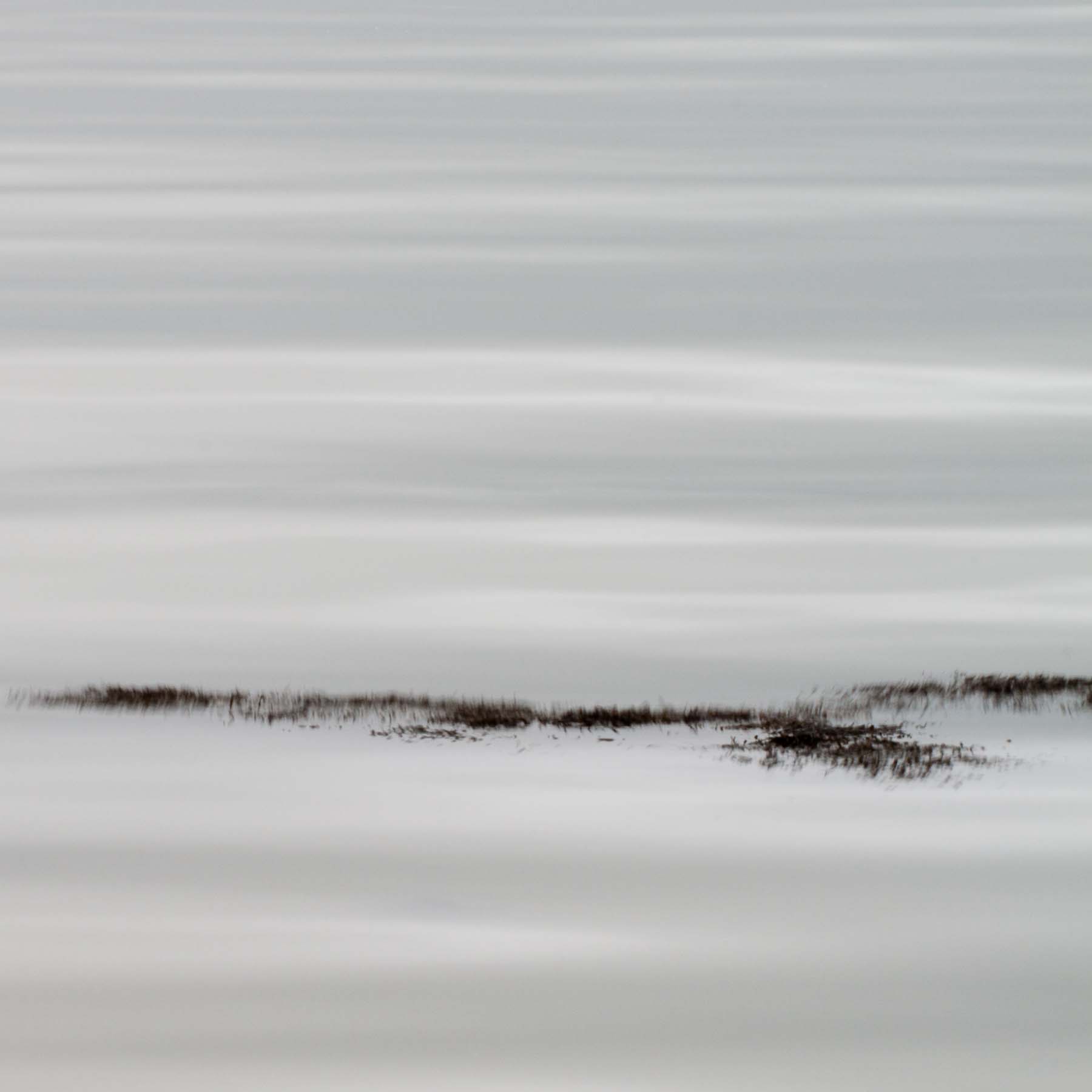 Untitled #5 (Copy)