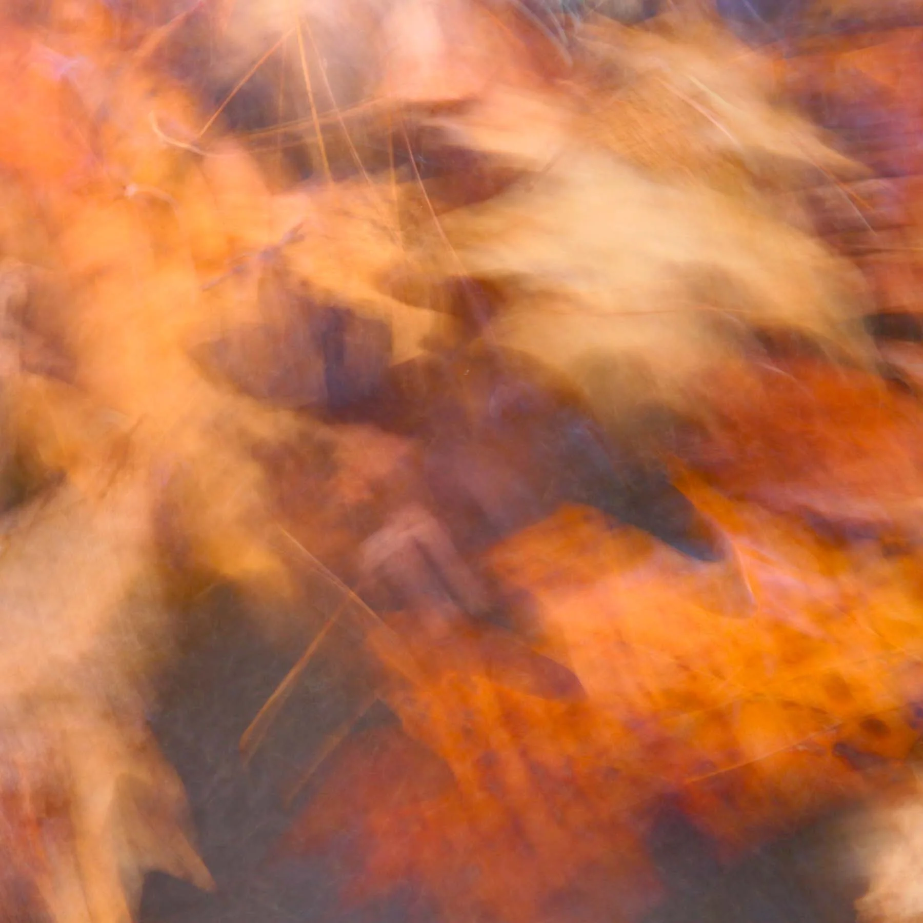 Autumn #1 (Copy)