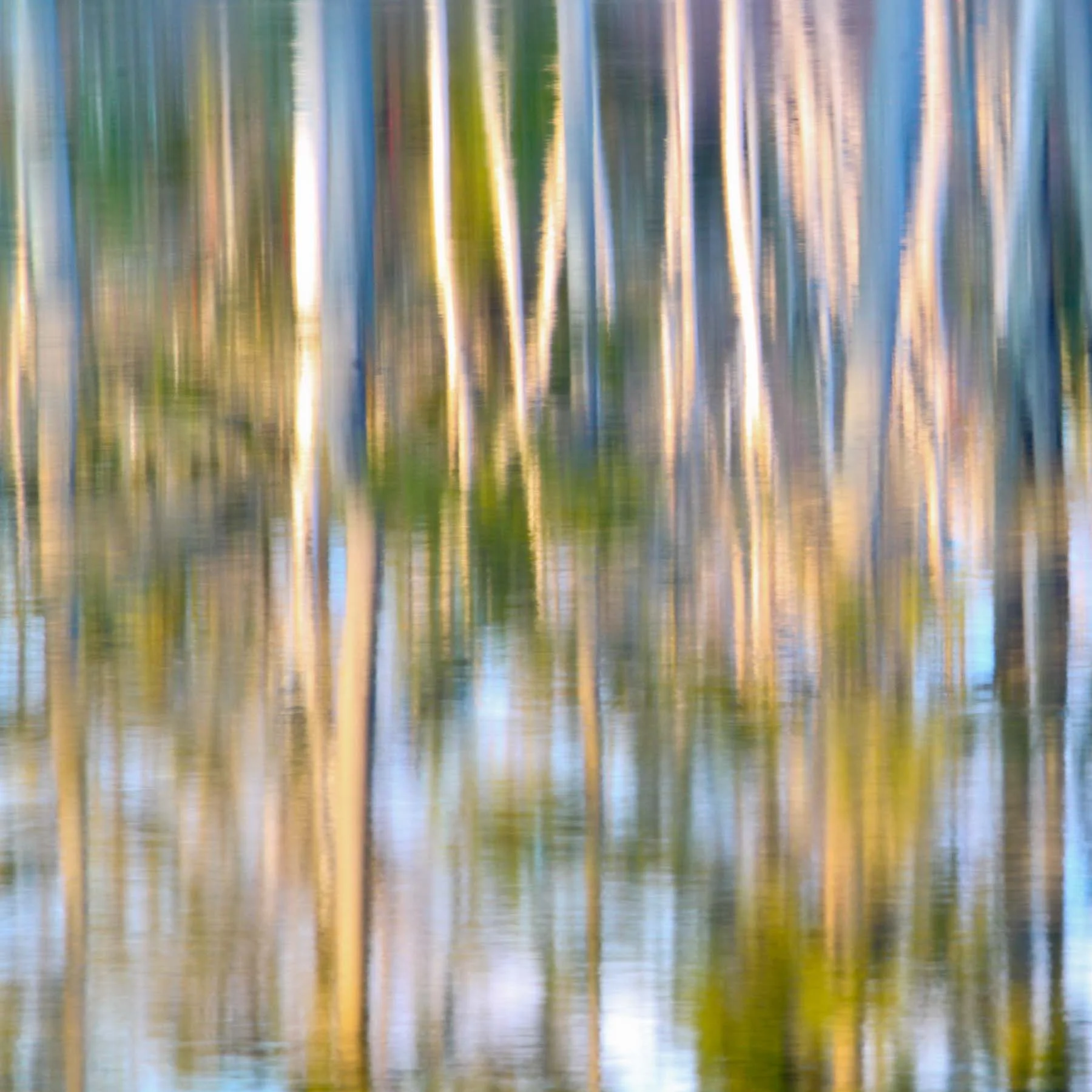 Pond #1 (Copy)