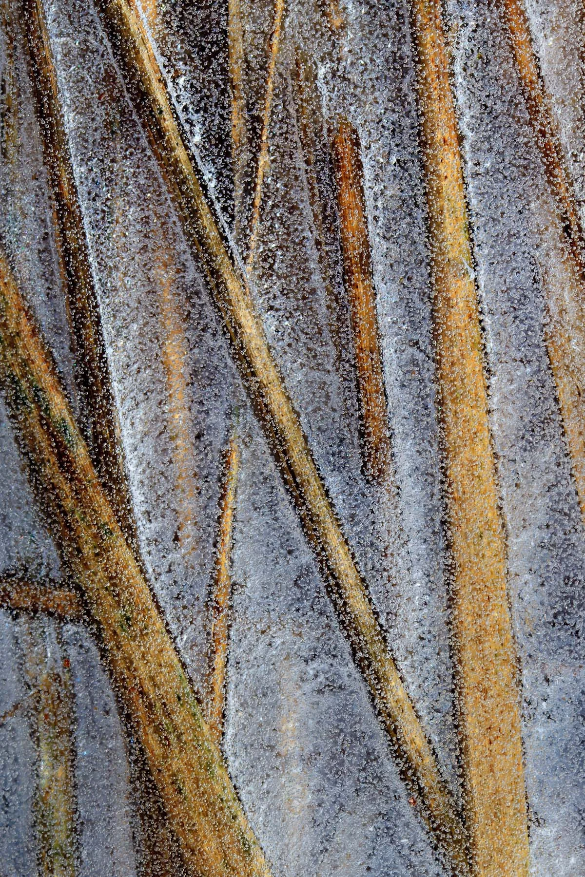 Winter Field #6 (Copy)
