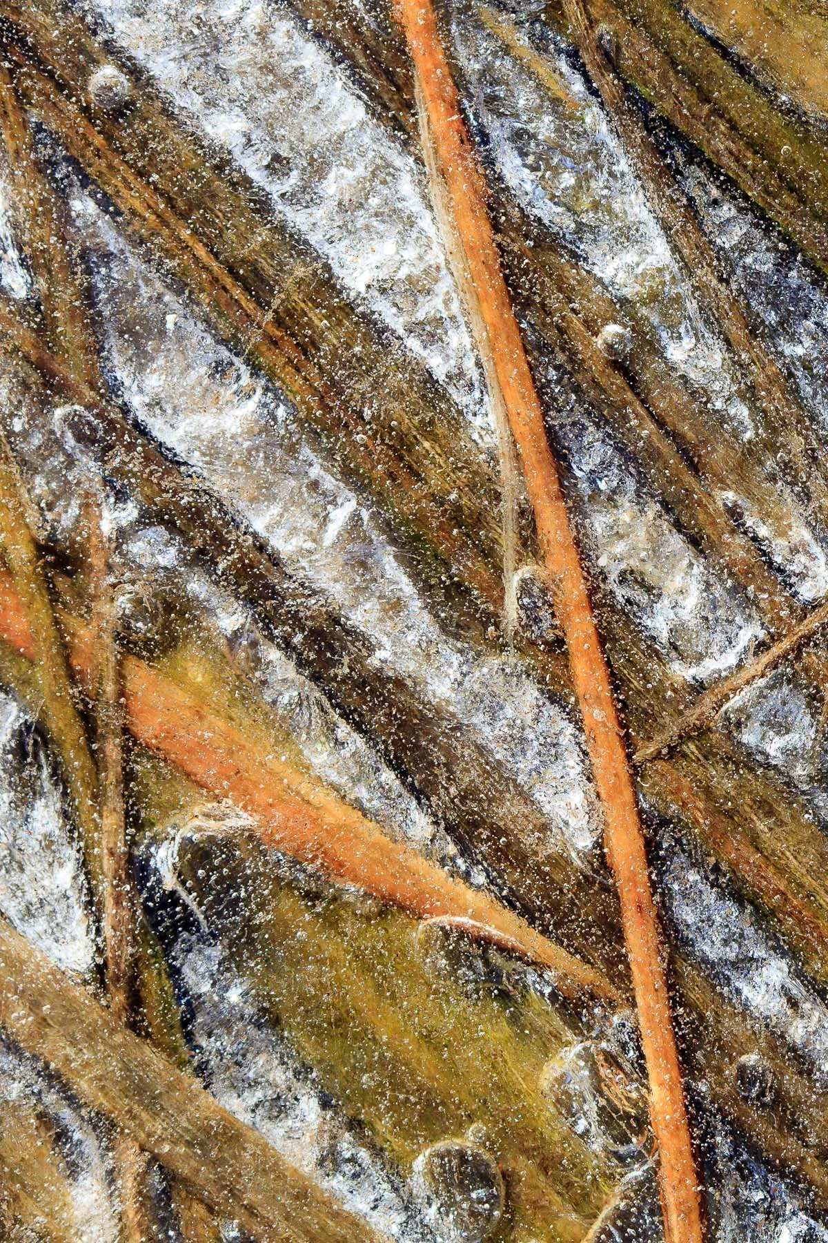 Winter Field #4 (Copy)