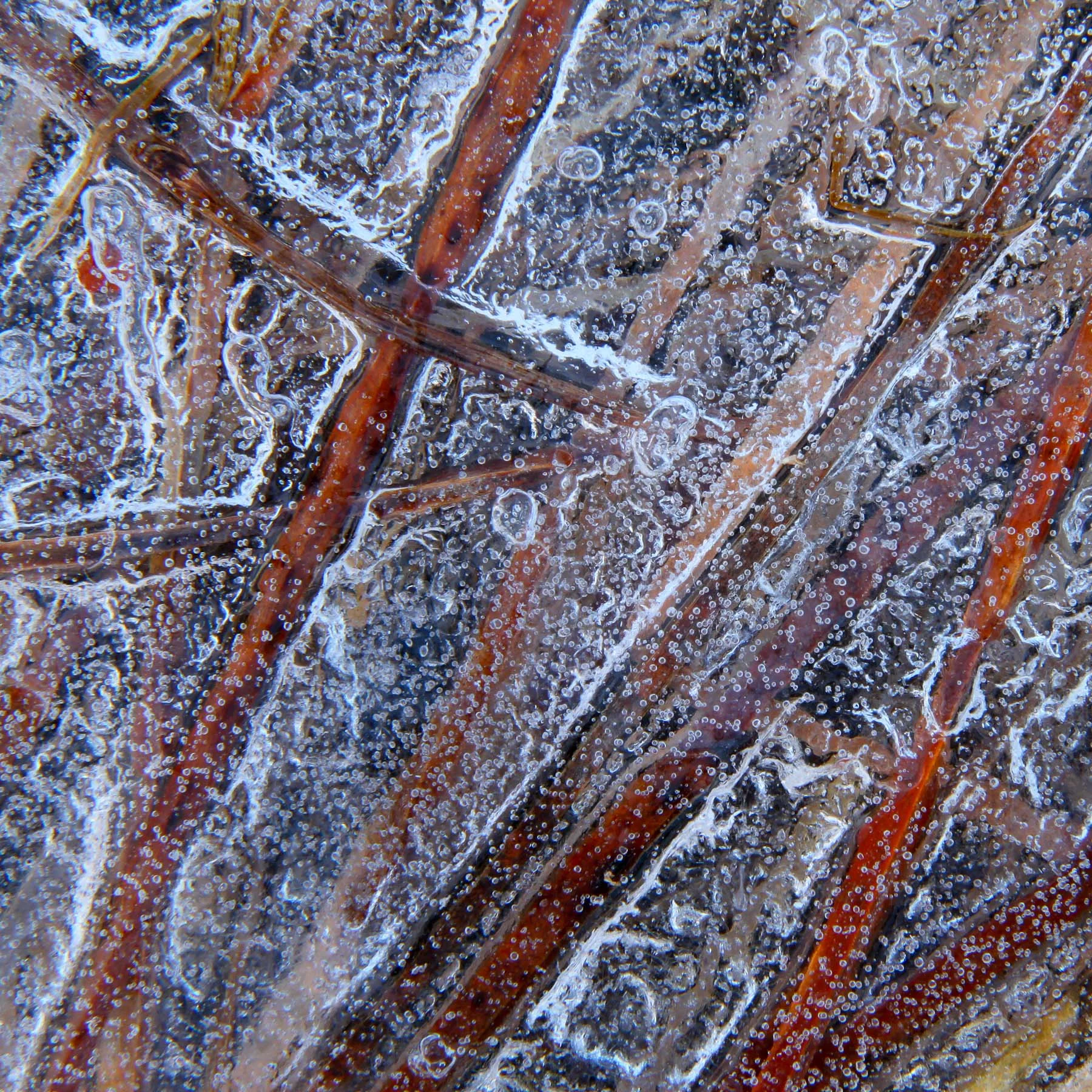 Winter Field #1 (Copy)