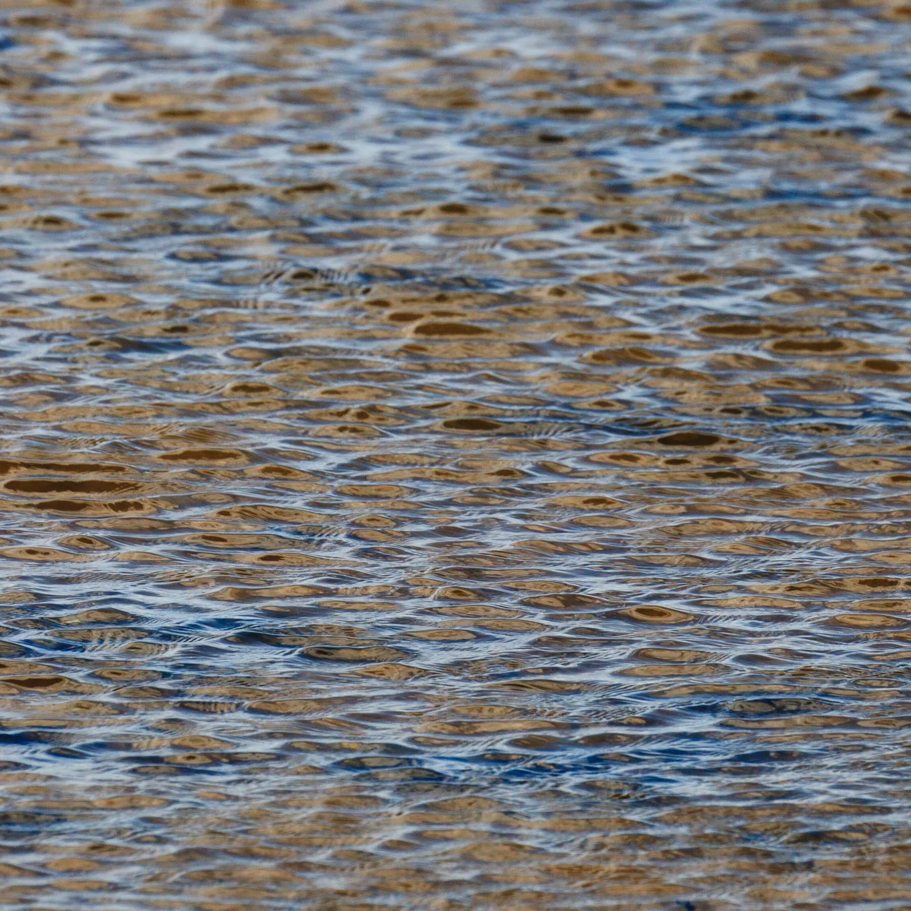 Water #17 (Copy)